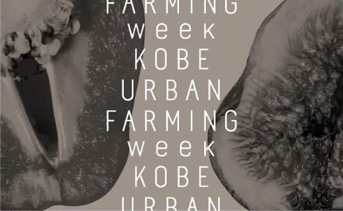 graf studioさんのインスタグラム写真 - (graf studioInstagram)「【 KOBE URBAN FARMING WEEK 】   神戸市では、都市地域に「農」のある生活スタイルを進める「アーバンファーミング（都市農業）」をテーマに掲げ、事業に取り組んでいます。  dot architectsとgrafで展示構成を担当する展覧会期間中の11月15日（日）には、料理家の船越雅代さん　@masayofunakoshi  をお迎えして食事会を行います。  未来につなぐ神戸の食 ーデザインと食の世界を一緒に考える ◼︎FLOW  神戸市内で生産されている11月の食材をEdible Landscape (エディブル・ランドスケープ）として可視化し、食す集いを開催します。　  日時｜2020年11月15日（日）13:00-15:00 場所｜KIITO 1FギャラリーA  メニュー｜ Salad of Kobe  神戸をサラダに Flowing Ravioli  流れるラヴィオリ Sweet Water  甘水：水のデザート  料理人｜船越雅代 Farmoon主宰 @farmoon_kyoto  料金｜2,900円（税込） 人数｜先着30名 申込｜grafまでメールまたは電話 info@graf-d3.com  06-6459-2082 （氏名、連絡先、参加人数をお知らせください） 　 ◼︎NEW RELATION  旬の生産物などについて知ることができるスペースも設け、身近な場所で収穫できる食材を発見するきっかけを提示する展覧会を開催。  会期｜2020年11月14日（土）−11月22日（日） 時間｜9:00-21:00  最終日のみ20:00まで 場所｜KIITO 1FギャラリーA  休館｜月曜日 料金｜無料  #食都神戸 #kobeurbanfarming #神戸市 #kobe #少量多品種 #家庭菜園 #eatlocalkobe #クラフトベジ #dotarchitects #farmoon #船越雅代 #graf #KOBEURBANFARMINGWEEK」10月30日 17時36分 - graf.studio