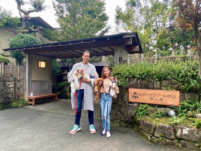 長谷川朋美さんのインスタグラム写真 - (長谷川朋美Instagram)「・ 今年の誕生日当日は、﻿4ワンを連れて初めて﻿ #レジーナリゾート に行ってきました✨﻿ ﻿ レジーナリゾートはわんこと泊まれる﻿ ラグジュアリー系のお宿がたくさんあります!﻿ ﻿ 今回は私の#方位 の関係でw﻿ #伊豆高原 の#レジーナリゾート伊豆無鄰  に行ってきました💕﻿ ﻿ 離れのお部屋には#露天風呂 の温泉と﻿ #檜 の内風呂、私たちの部屋専用の﻿ #ドッグラン も付いていて﻿ かなりプライベート感が味わえました♨️﻿ ﻿ 夜ご飯も朝ご飯も個室で、﻿ もちろんワンコも同席OK🙆‍♀️﻿  しかもワンコ用メニューも充実していて 人間用のご飯も犬連れの宿だから 全く期待してなかったのですが、 高級料亭ばりにめちゃくちゃ美味しかったです😂❤️ ﻿ 愛犬家には本当に至れり尽くせりです。﻿ ﻿ 15歳になるプリなんて﻿ 「お若くてらっしゃいますね！」﻿ なんて言葉もかけていただき﻿ 犬に対するホスピタリティも半端ない😂﻿ ﻿ 年々、誕生日に欲しいものなんて何もなくて、﻿ こうした大切な家族との思い出が﻿ 一番の宝物です。﻿ ﻿ ちなみに、#gototravel の#地域共通クーポン で﻿ 夜はエステもしてもらいました🥰﻿  ※彼の浴衣が短いのはご愛嬌w 身長がかなり高いので（私はかなりチビ） どの浴衣着てもこうなります😂 ﻿ #誕生日 #birthday #バースデー旅行 #dogslover #愛犬家 #ペットは家族 #family #伊豆 #izu」10月30日 17時39分 - hasegawa.elena.tomomi