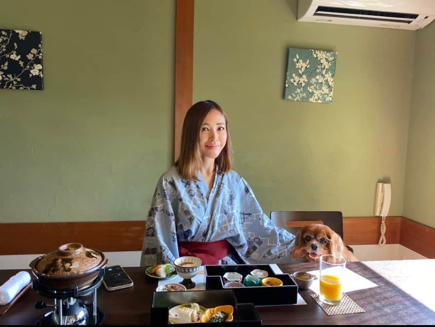 長谷川朋美さんのインスタグラム写真 - (長谷川朋美Instagram)「・ 今年の誕生日当日は、﻿4ワンを連れて初めて﻿ #レジーナリゾート に行ってきました✨﻿ ﻿ レジーナリゾートはわんこと泊まれる﻿ ラグジュアリー系のお宿がたくさんあります!﻿ ﻿ 今回は私の#方位 の関係でw﻿ #伊豆高原 の#レジーナリゾート伊豆無鄰  に行ってきました💕﻿ ﻿ 離れのお部屋には#露天風呂 の温泉と﻿ #檜 の内風呂、私たちの部屋専用の﻿ #ドッグラン も付いていて﻿ かなりプライベート感が味わえました♨️﻿ ﻿ 夜ご飯も朝ご飯も個室で、﻿ もちろんワンコも同席OK🙆‍♀️﻿  しかもワンコ用メニューも充実していて 人間用のご飯も犬連れの宿だから 全く期待してなかったのですが、 高級料亭ばりにめちゃくちゃ美味しかったです😂❤️ ﻿ 愛犬家には本当に至れり尽くせりです。﻿ ﻿ 15歳になるプリなんて﻿ 「お若くてらっしゃいますね！」﻿ なんて言葉もかけていただき﻿ 犬に対するホスピタリティも半端ない😂﻿ ﻿ 年々、誕生日に欲しいものなんて何もなくて、﻿ こうした大切な家族との思い出が﻿ 一番の宝物です。﻿ ﻿ ちなみに、#gototravel の#地域共通クーポン で﻿ 夜はエステもしてもらいました🥰﻿  ※彼の浴衣が短いのはご愛嬌w 身長がかなり高いので（私はかなりチビ） どの浴衣着てもこうなります😂 ﻿ #誕生日 #birthday #バースデー旅行 #dogslover #愛犬家 #ペットは家族 #family #伊豆 #izu」10月30日 17時39分 - hasegawa.elena.tomomi