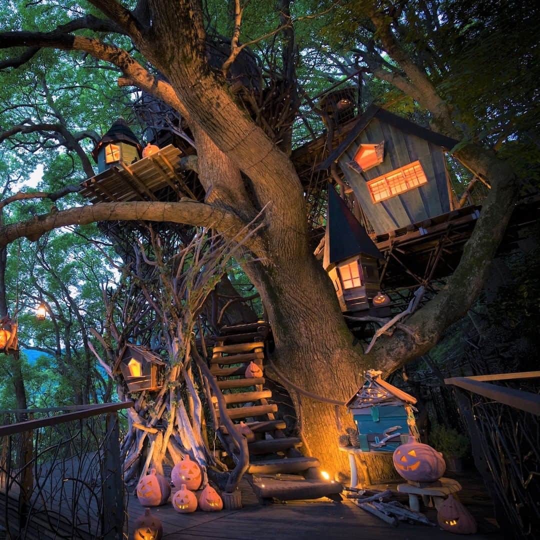 星野リゾートのインスタグラム：「【星野リゾートのご当地ハロウィンイベント】 魔女の住む森のハロウィン - リゾナーレ熱海  [Hoshino Resorts Halloween Event Series] Halloween in the forest where the witch lives  熱海の絶景と温泉に浸るリゾートホテル「星野リゾート リゾナーレ熱海」では、魔女がテーマのイベント「魔女の住む森のハロウィン」を開催しています。本イベントでは、魔女仮装グッズのレンタルや魔女気分を味わえる体験、フォトスポットでの撮影を楽しめます。今回は体験プログラム「魔女のナイトレッスン~光の魔法~」が新登場。ホテルに直結した森「森の空中基地 くすくす」にて、魔法を使ったライトアップを体験するプログラムです。コロナ対策をしているので、安心してご参加いただけます。  森の空中基地 くすくすは、樹齢約300年、高さ約22.5メートルのくすのきや、樹上に宿るツリーハウス、全長84.7メートルの樹上アスレチックがある、ホテルに直結した森です。くすのきは、枝がうねった不思議な形をしています。この森の特性を生かして、思い出に残るハロウィン体験を提供したく、考案しました。  #HoshinoResorts #星野リゾート #Risonare #リゾナーレ #RisonareAtami #リゾナーレ熱海 #Shizuoka #Atami #AtamiOnsen #静岡県 #熱海 #熱海温泉 #熱海旅行 #JapaneseHotels #Onsen #travelJapan #ig_Japan  #JapanTravel」