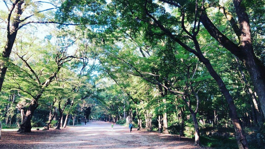 のインスタグラム：「自然は良い。 🌿🌿🌿🌿🌿」
