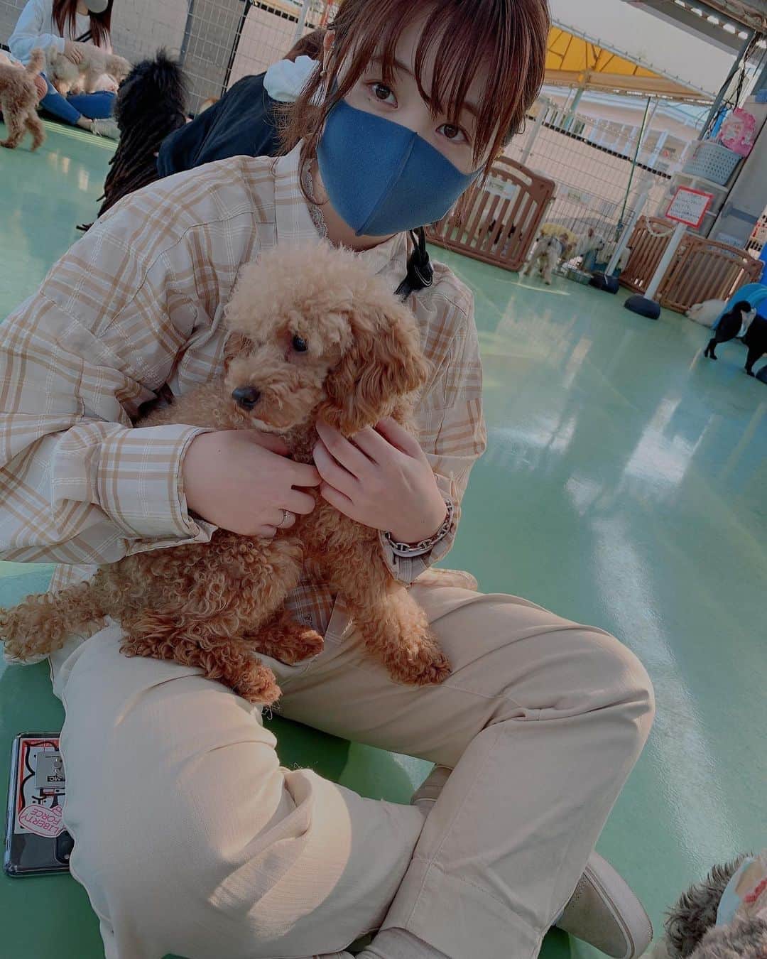 真奈のグルメインスタ