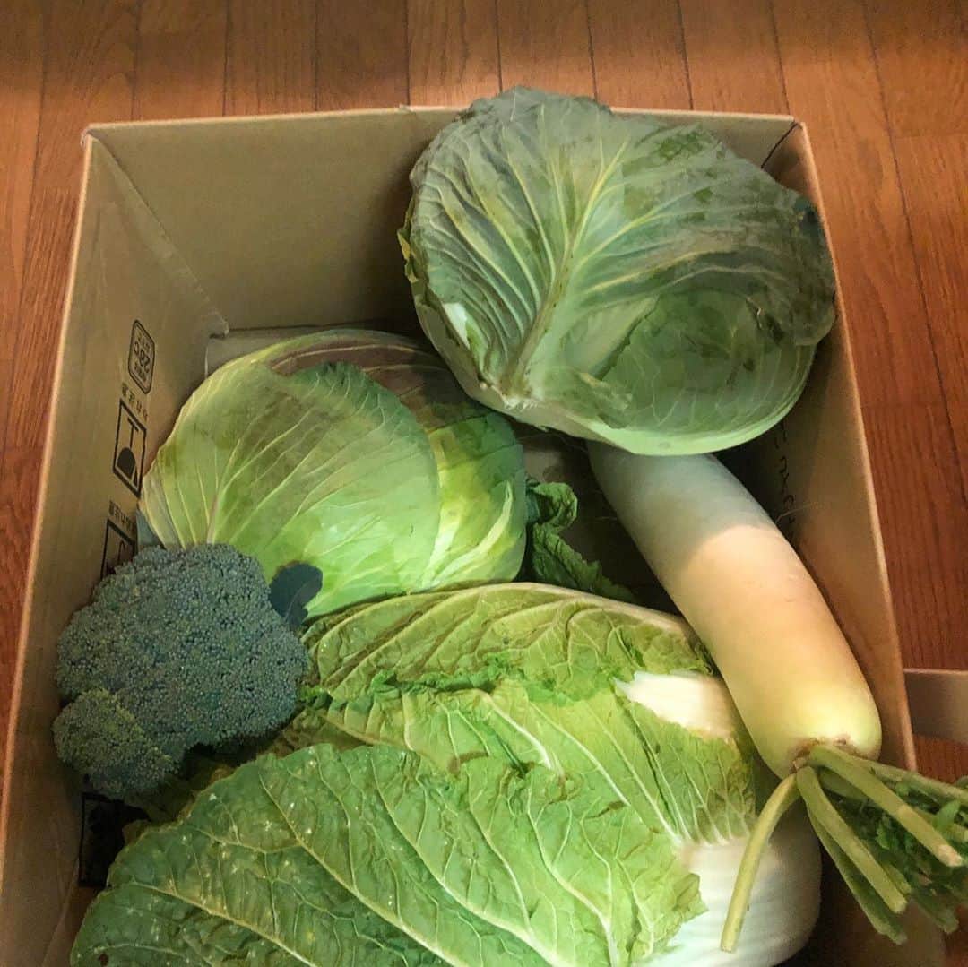 石川蓮美のインスタグラム：「#お野菜いただきました #北海道暮らし #通風鍋 #白子 #めちゃうまでした  #移住生活 #寒いけど幸せ #クラシックうますぎ」