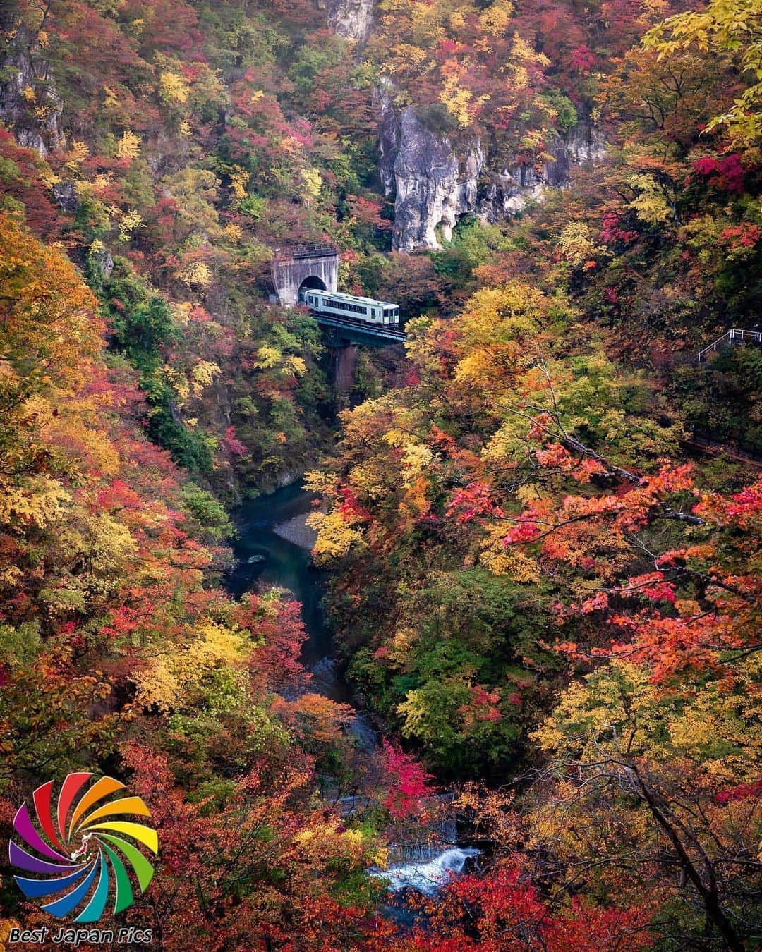 Follow & use #bestjapanpicsさんのインスタグラム写真 - (Follow & use #bestjapanpicsInstagram)「＊---Today's Bestjapanpics---＊ . 👑Congrats to @traveler_sui  素敵なお写真へのタグ付けありがとうございます✨ . 📷 Select by @yurie.0101 (Mod) 🗾 Location : 宮城県 📎 Category : #紅葉#鳴子峡#電車 . . *Follow us @bestjapanpics_ . *Tag #bestjapanpics  . 撮影地の都道府県をキャプション・コメントタグ・ジオタグのいずれかに入れて下さい。 . @bestjapanpics_ では日本で撮られた素敵なお写真へのタグ付けをお待ちしています✨ . Select the amazing photos every day. ダグ付けをして頂い投稿の中から 素晴らしい写真を選出させていただきます。 . . 🤝Friend hub @factory_shotz 工場の写真 @setouchi_gram 瀬戸内の魅力を . . #japan #photo #camera #landscape #nature #portrait  #日本 #写真 #カメラ #風景 #自然 #ポートレート .」10月30日 18時57分 - bestjapanpics_