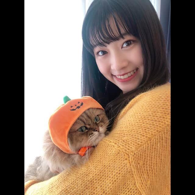 朝日奈芙季さんのインスタグラム写真 - (朝日奈芙季Instagram)「.﻿ 明日はHalloween 🎃*﻿ ﻿ ﻿ シャマさんに、かぼちゃの﻿ コスチュームを被せました🐈❤︎❤︎﻿ ﻿ ﻿ かわいい、😂﻿ ﻿ ﻿ 明日は﻿ ホラー映画でも観ようかな~👻﻿ ﻿ ﻿ #かぼちゃ﻿ #ねこ﻿ #カメラ目線してほしい ﻿ #相棒さん﻿」10月30日 19時10分 - fuki_asahina_official