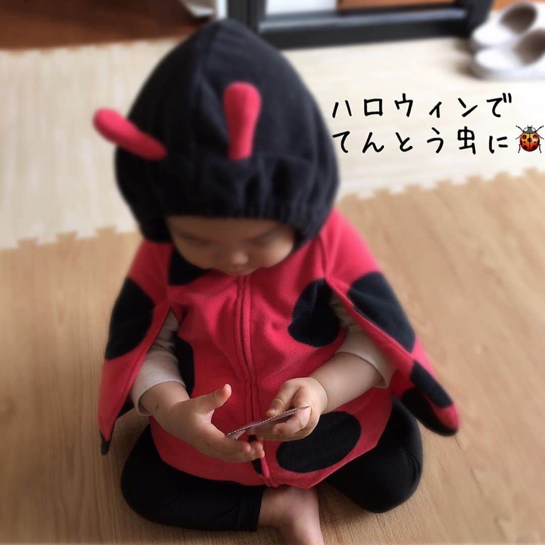 小西さやかのインスタグラム：「今日は保育園のハロウィンイベントでてんとう虫に！かわいくてメロメロ。 . 保育園、いろんなイベントやってくれて本当にありがたいです(^^) . 姉と妹の子供も女の子なので、いつもお下がりもらって助かってます(^^) . #ハロウィン#ハロウィンコスプレ #ハロウィン仮装 #ハロウィンパーティー #ハロウィン飾り #ハロウィン🎃 #ハロウィンコス #ハロウィンベビー #コスプレ#コスプレ女子 #コスプレ写真 #コスプレイベント」