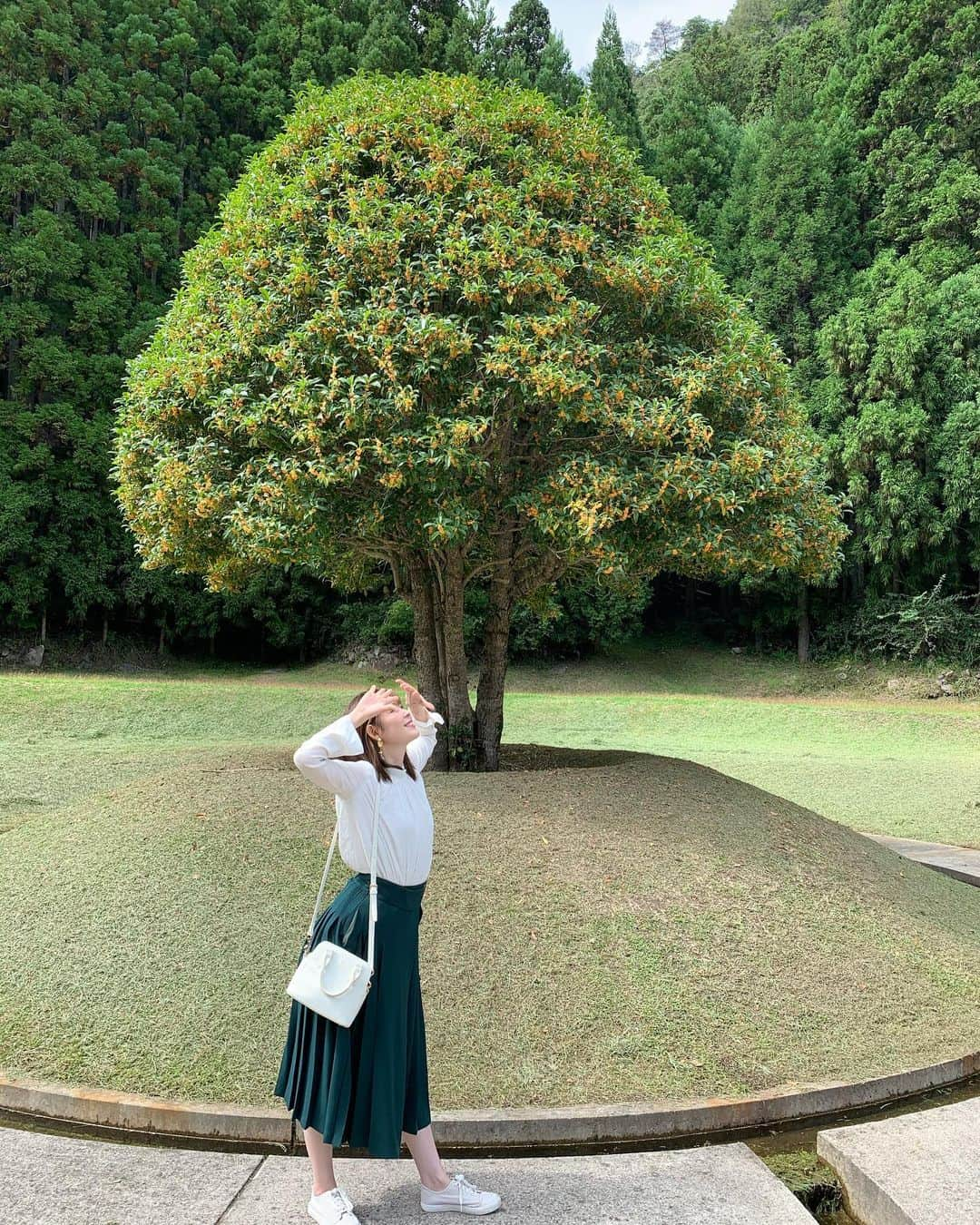 松本ルナのインスタグラム：「大好きな金木犀の匂いがする木🌳💓﻿ ﻿ 凄く楽しそうな写真からの﻿ 集合写真で必ず1人はいるような﻿ 目をつぶってる写真📷😂✨﻿ ﻿ いつも遠い写真が多いので﻿ アップにしたよ❤️笑﻿ ﻿  ﻿ #奈良 #奈良観光 #緑 #金木犀  #金木犀の香り #公園 #芸術  #芸術の森 #室生山上公園芸術の森  #秋 #勝手に観光大使 #勝手に奈良観光大使  #目に優しいインスタ #ルナマップ  #nara #narajapan #nära #park  #art #green #フォロワーさんが減りませんように #フォロワーさんに感謝 #🙏 笑」