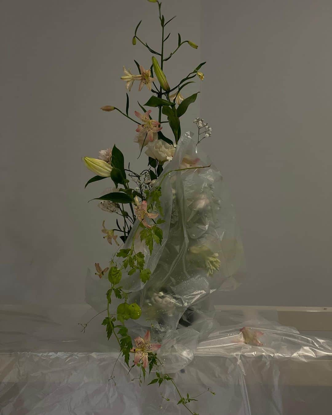 브렌다플라워さんのインスタグラム写真 - (브렌다플라워Instagram)「🌬」10月30日 19時58分 - thestudioofflowerart