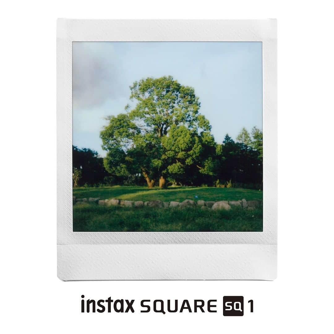 Fujifilm instaxさんのインスタグラム写真 - (Fujifilm instaxInstagram)「. 【新製品「instax SQUARE SQ1」予約スタート！】﻿ ﻿ 10月28日発表の新製品「instax SQUARE SQ1」が店頭およびネットにて本日から予約スタートいたしました！﻿ ﻿ つづく２～４枚目の画像では、「instax SQUARE SQ1」で撮影したチェキプリントをちょっぴりご紹介！﻿ スクエアフォーマットなら、風景をよりダイナミックで広々撮影できますよ♪﻿ ﻿ ﻿ 発売は、11月6日（金）﻿ お楽しみに♪﻿ ﻿ SQ1の製品ページはこちら﻿ https://instax.jp/sq1/﻿ ﻿ ﻿ #チェキ #instax #instaxlife #cheki﻿ #instaxsquaresq1 #instaxsquare #sq1 #新製品発表 #FUJIFILM #富士フイルム #インテリア好きな人と繋がりたい #置き画くらぶ #インテリア雑貨 #ミニマルデザイン #シンプルデザイン﻿ #写真好きな人と繋がりたい #フィルムカメラ #フィルムカメラに恋してる #フィルムと生活  ﻿ ﻿ ﻿」10月30日 20時00分 - cheki_instax