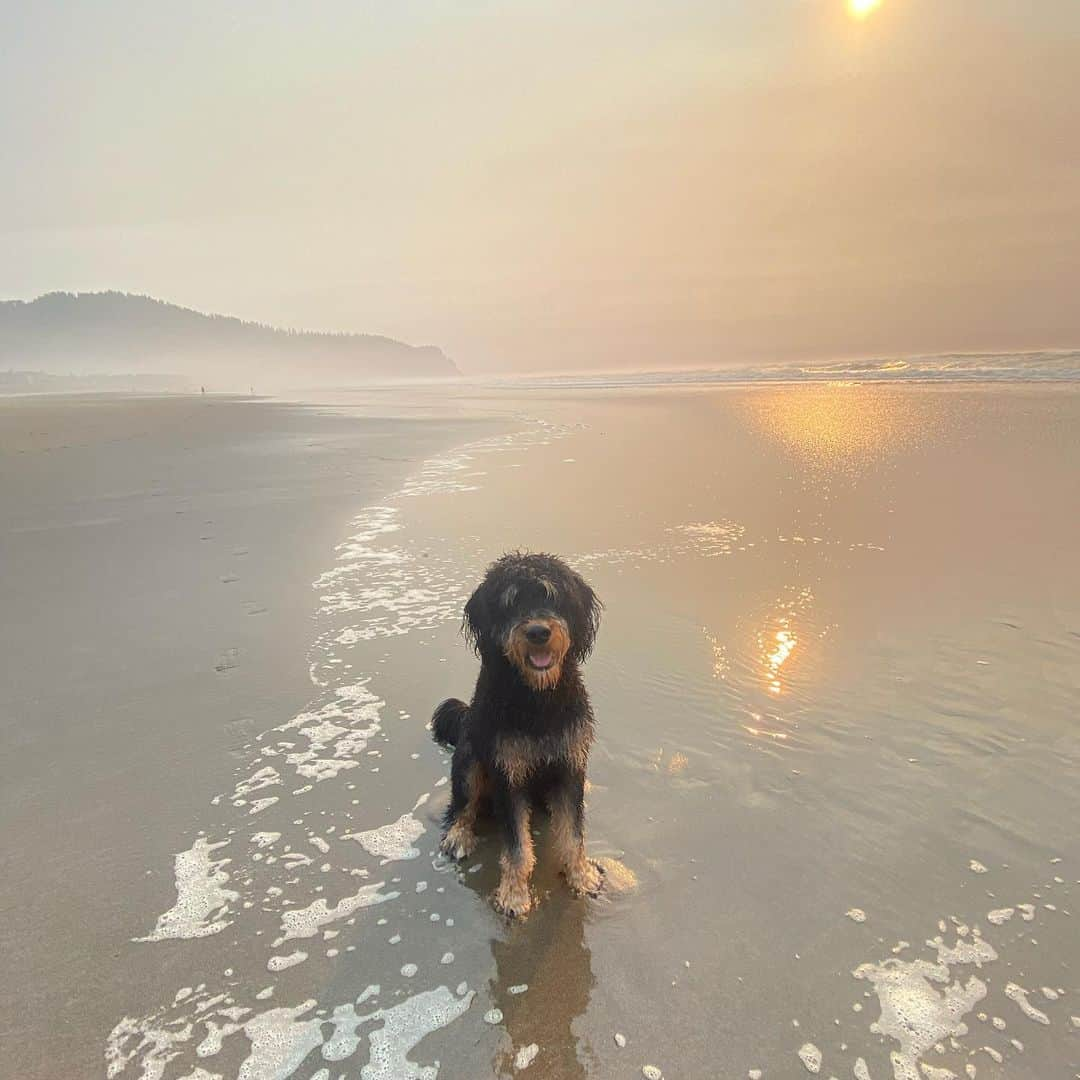 マルコ・ゴンザレスさんのインスタグラム写真 - (マルコ・ゴンザレスInstagram)「Last week’s getaway to the Oregon coast. . . . Special thanks to @proposalsforall for the accommodations!」10月7日 4時02分 - marcogonzales_