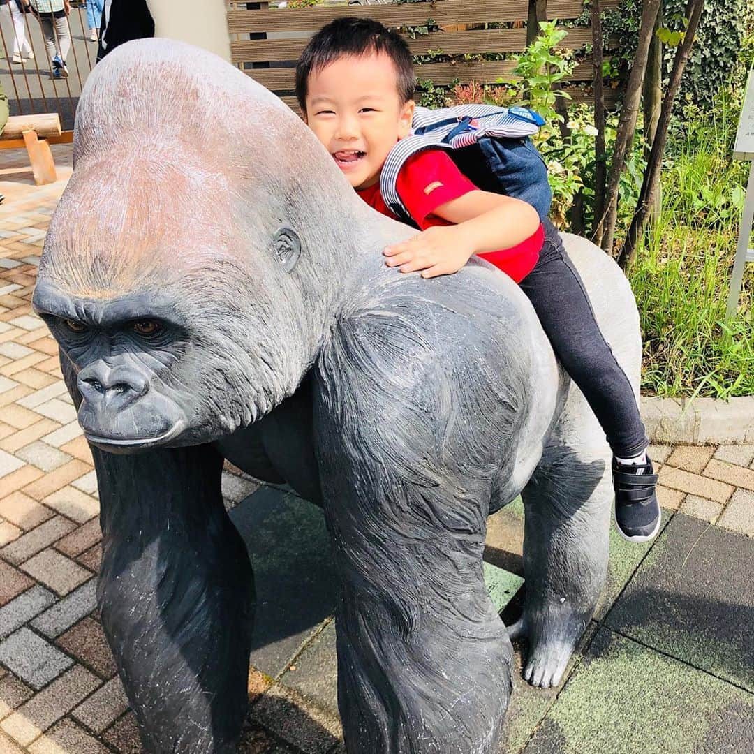 幹てつやさんのインスタグラム写真 - (幹てつやInstagram)「茨城県かみね動物園の入口にいるゴリラ ＊ #かみね動物園 #ゴリラ #息子」10月7日 4時53分 - mikitetsuya