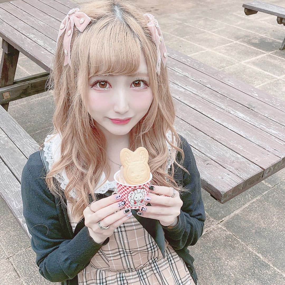 あいにゃんのインスタグラム