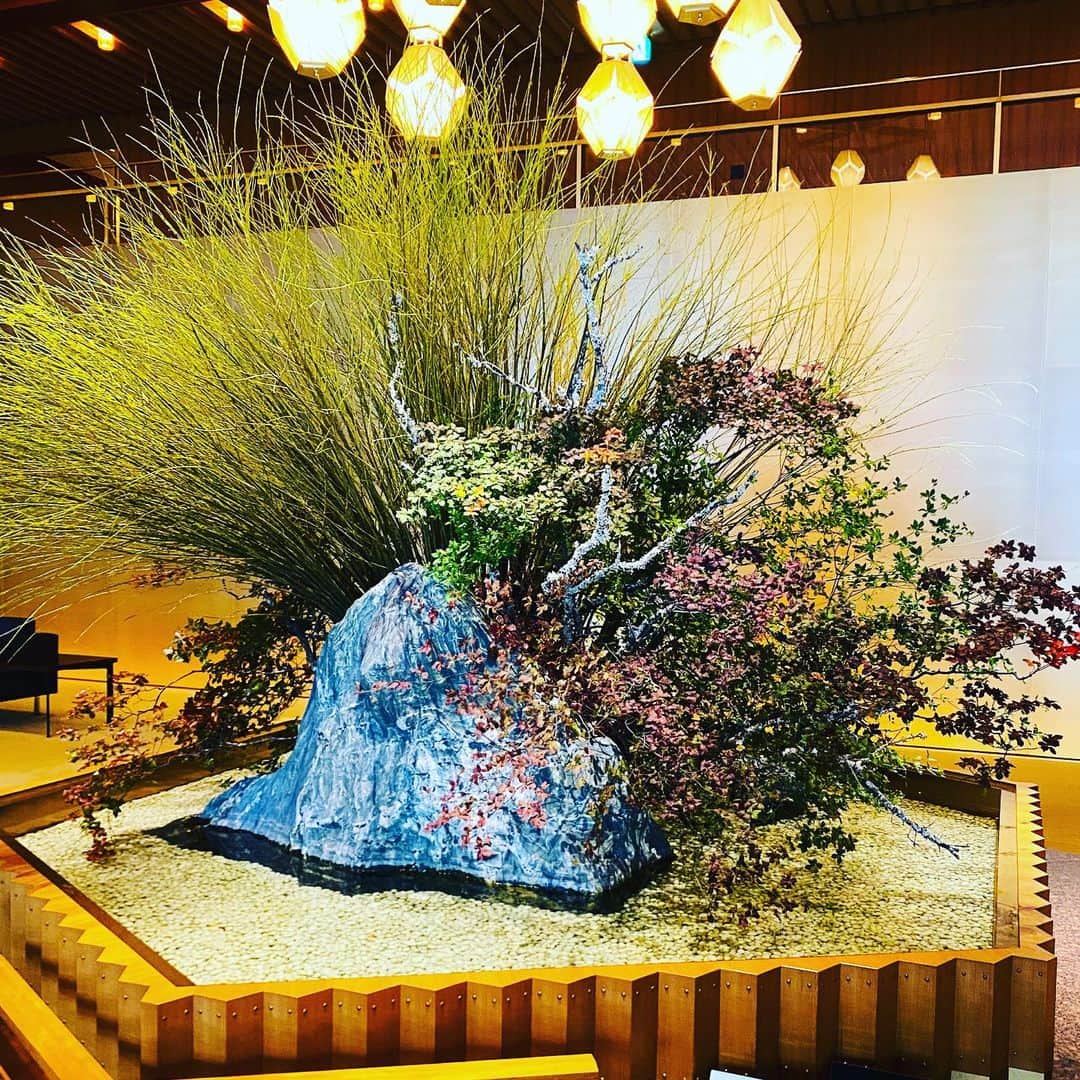 勝恵子さんのインスタグラム写真 - (勝恵子Instagram)「ホテルオークラロビー装花 ドウダンツツジでした。  #flower #flowerstagram  #flowerlove」10月6日 20時40分 - keiko.katsu
