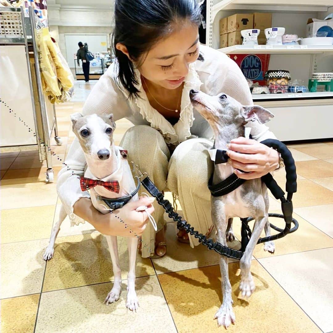 Erika Yamaguchiさんのインスタグラム写真 - (Erika YamaguchiInstagram)「犬親バカですみません💝 #保護犬を家族に して15日がたちました。  スッゴク毎日がhappyです。 マッスルが来てくれて我が家はさらに 毎日が楽しくなってるよ☺️  帽子もデビューしたね😉 海もデビューしたね✌  いい顔してきたなぁー！  毎日の成長が本当に嬉しいよ。  6年間の苦痛だった時間を なくすくらい楽しい事を沢山一緒にしようね✨💐  マッスルは 幸せになるために生まれてきたんだよ。 @ig_core.muscle  #美コア#体力づくり#免疫#免疫力 #インストラクター #パーソナルトレーナー  #美コア#美コアオンライン#自宅トレーニング#Bcore #山口絵里加 #細く締める #パーソナルトレーナー  #fitnessinstractor #diet #ダイエット#体幹 #体温上昇 #youtuber#美コア東京スタジオ #トレーニング#ヨガ#ピラティス #美コア東京スタジオ#Reebok #オンライントレーニング #イタグレ #保護犬出身」10月6日 20時51分 - erika__yamaguchi