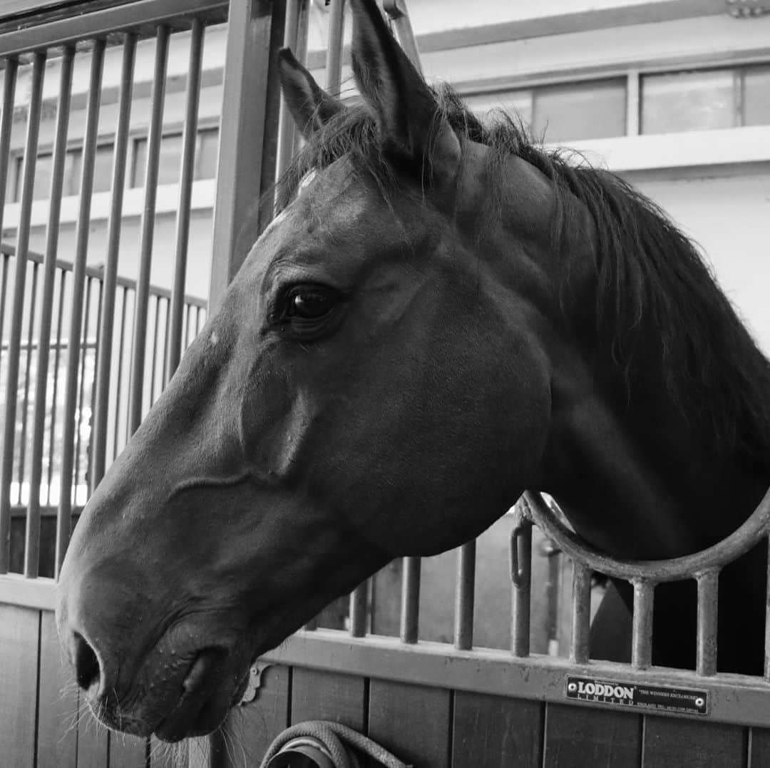 小原優花のグルメインスタ