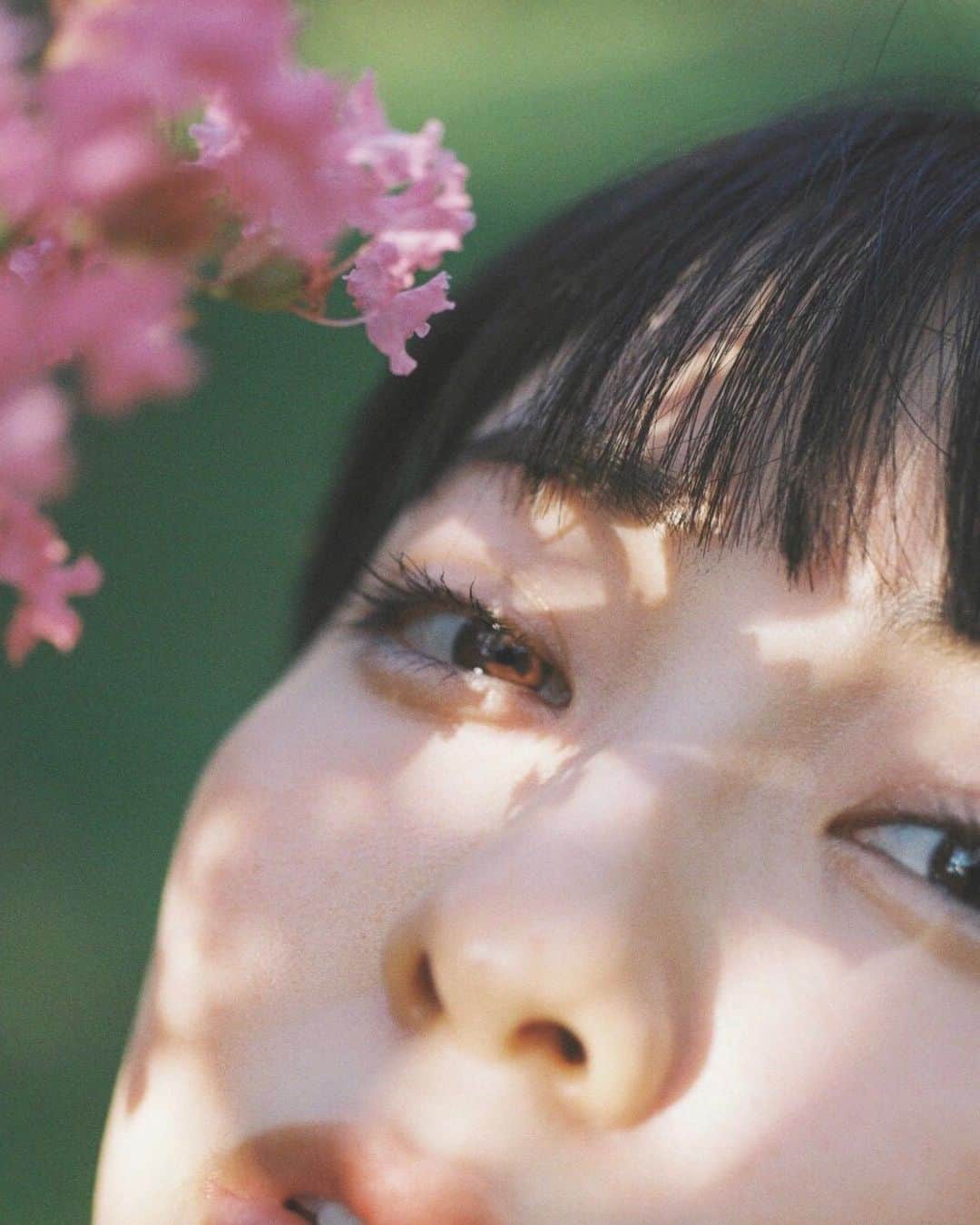 小島梨里杏さんのインスタグラム写真 - (小島梨里杏Instagram)「花影ちらり。」10月6日 21時40分 - r_riria