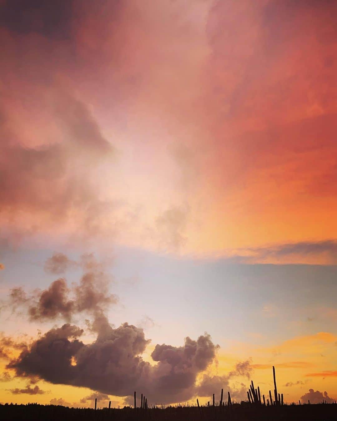 のインスタグラム：「10 things that happened on my birthday: ⁣ ⁣ 1. This sunrise. I got two quiet hours to myself before Dennis and Lea “woke me up” with cake and balloons😋⁣ 2. My birthday peaked at 7am when I got the present of the decade in finding out I am going to be godmother of this absolute angel! @orothschild and little Hedda (and Pappa Pati) called and then I cried for an hour. It was the best cry. #itsmybirthdayandillcryifiwantto ⁣ 3. Went for a swim, journaled and had my coffee by the sea. ⁣ 4. We said goodbye to one of our foster dogs! Asher began his journey to his forever home Philadelphia❤️⁣ 5. Got these unbelievable crystal singing bowls that @dennisfromsalad spent weeks looking for. This man, I tell you!!! ⁣ 6. This setup. The sweetest. The Dino balloon!!!!!⁣ 7. Daddy-o took a nap. I took a selfie.⁣ 8. (so did Lea)😂⁣ 9. Again: best husband award 🥇 ⁣ 10. Dinner on the beach, and some hammock time. ⁣ ⁣ I AM SO GRATEFUL! ⁣ And so, so ready for this next trip around the sun. Bring it, universe!💛💛💛」