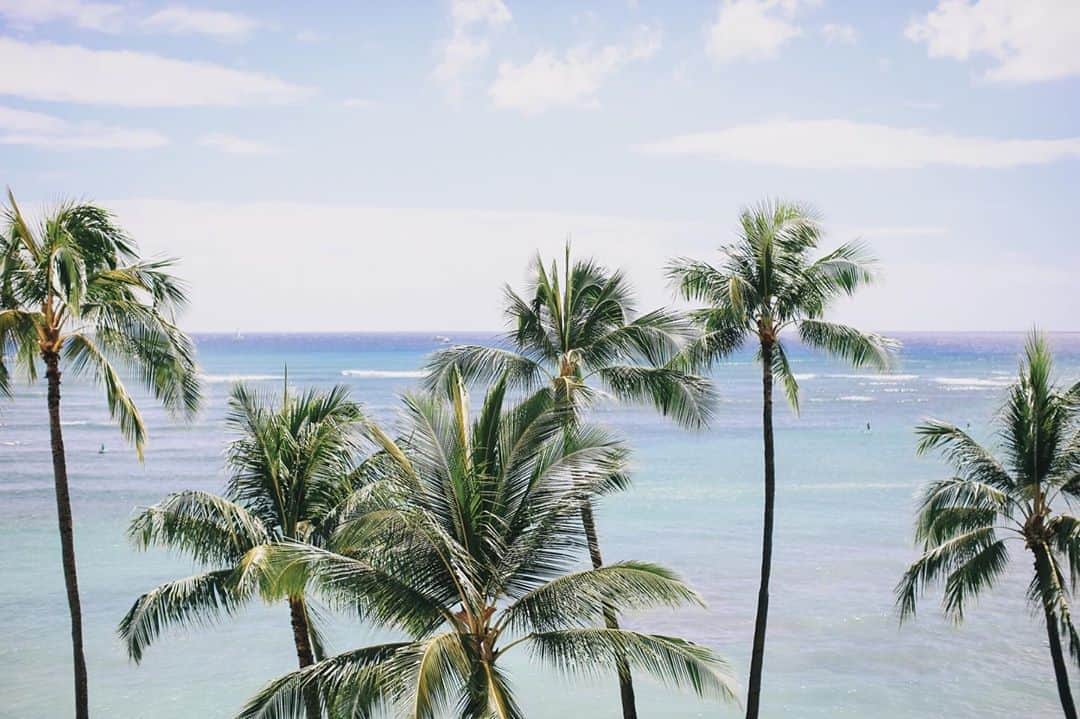 ハワイ挙式のCheersWedding チアーズウェディングさんのインスタグラム写真 - (ハワイ挙式のCheersWedding チアーズウェディングInstagram)「HAU’OLIは、ハワイ語で「ハピネス」﻿ ﻿ 人生は時に長い旅に例えられます。﻿ ﻿ その旅には心がふるえるほどの幸福な瞬間が訪れることがあるでしょう。﻿ 最も幸せなその時を ハワイの太陽のように祝福しましょう。﻿ ハワイの風のような心地良い時にしましょう。﻿ ﻿ セレブレーションを皆で楽しみ 幸福を胸いっぱいに吸い込んで﻿ 決して色あせない旅の思い出をこの場所に刻んでいくのです。﻿ ﻿ ***********************﻿ ﻿ 【HP】﻿ https://www.cheerswedding.jp﻿ ﻿ ☎︎0120-128-828﻿ 平日11:00〜19:00／土日祝10:00〜19:00﻿ ﻿ ***********************﻿ ﻿ ▼ウェディングパーク海外﻿ チアーズウェディングで検索﻿ https://foreign.weddingpark.net/agentlist/100063/﻿ ﻿ ▼ウェディングフォトはこちら﻿ @cheers_photowedding ﻿ ﻿ #チアーズウェディング﻿ #チアーズウエディング﻿ #ハワイウェディング ﻿ #海外ウェディング﻿ #リゾートウェディング﻿ #リゾ婚﻿ #海外挙式﻿ #ハワイ挙式﻿ #ハワイ婚﻿ #新婚旅行﻿ #ハワイ旅行﻿ #cheerswedding﻿ #hawaiiwedding﻿ #ハワイハネムーン﻿ #ハワイウェディングプロデュース﻿ #プレ花嫁﻿ #2021春婚 ﻿ #2021夏婚 ﻿ #2021秋婚 ﻿ #ハワイ式場﻿ #結婚式準備レポ﻿ #花嫁準備﻿ #式場迷子﻿ #式場探し﻿ #おしゃれ花嫁﻿ #hawaiistyle﻿ #ハワイ情報﻿ #ハワイ﻿ #hawaii﻿ #beach﻿」10月6日 22時40分 - cheers_wedding