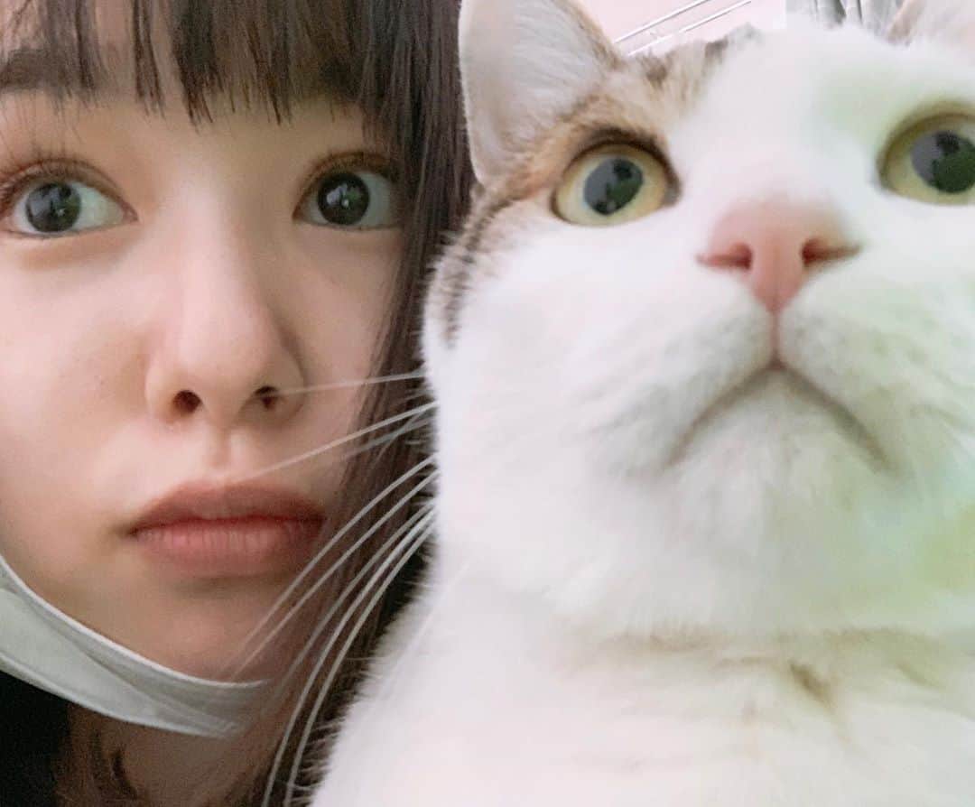 桜井日奈子さんのインスタグラム写真 - (桜井日奈子Instagram)「私がもし猫になれたら、ココちゃんみたいな猫になるのかしら🐱  実家で飼っている猫なんですけど、 私が似てきたのか、ココちゃんが似てきたのか、謎です。  10月9日（金）19時から久しぶりにLINE LIVEします！ よかったら、見に来てください☺️ ストーリーにリンク貼っておきます！」10月6日 22時53分 - sakurai.hinako_official