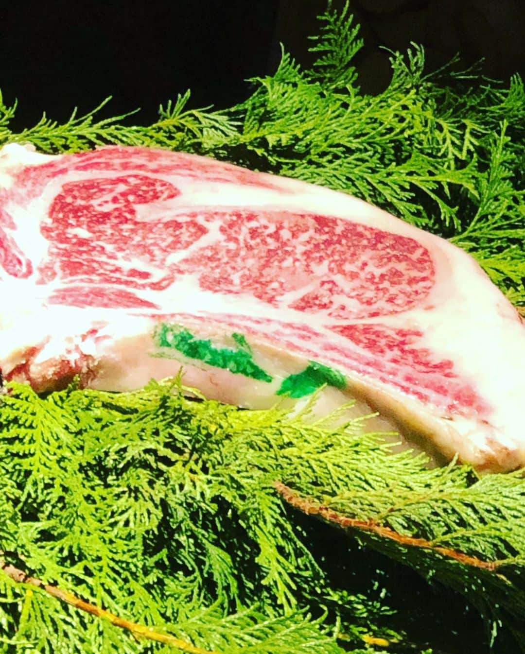 名越康文さんのインスタグラム写真 - (名越康文Instagram)「#東三国　#正道塾　#幸せな時間をありがとう #お肉コース料理  #大阪市　#牛たん　#トリュフ#香りいっぱい　#再犯防止支援」10月7日 5時26分 - nakoshiyasufumi