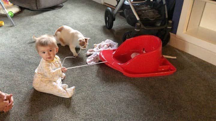 のインスタグラム：「They’re both interested in the same toys 😂😂👶🏻😻」