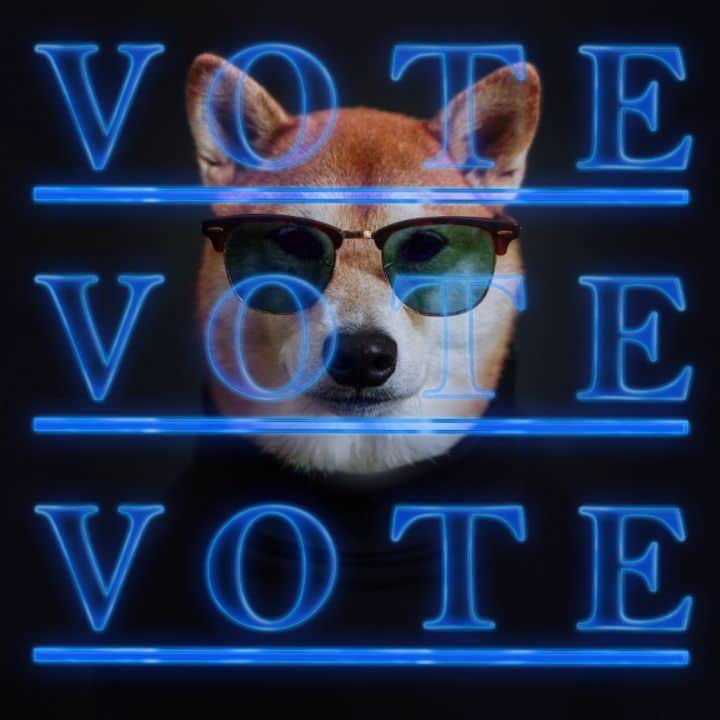 Menswear Dogのインスタグラム：「Vote with me 🇺🇸  44% of eligible voters did not vote in 2016. This 2020, come through!   #ImVotingFor the future I want to see:  Love, not hate Unity, not division Truth, not manipulation  Solutions, not violence  Equality in access to basic human rights in health, safety, education, dignity, freedom from arbitrary arrest or violence, right to peaceful assembly, freedom from discrimination based on race, color, religion or sexual orientation  Protect our Democracy #Vote2020」