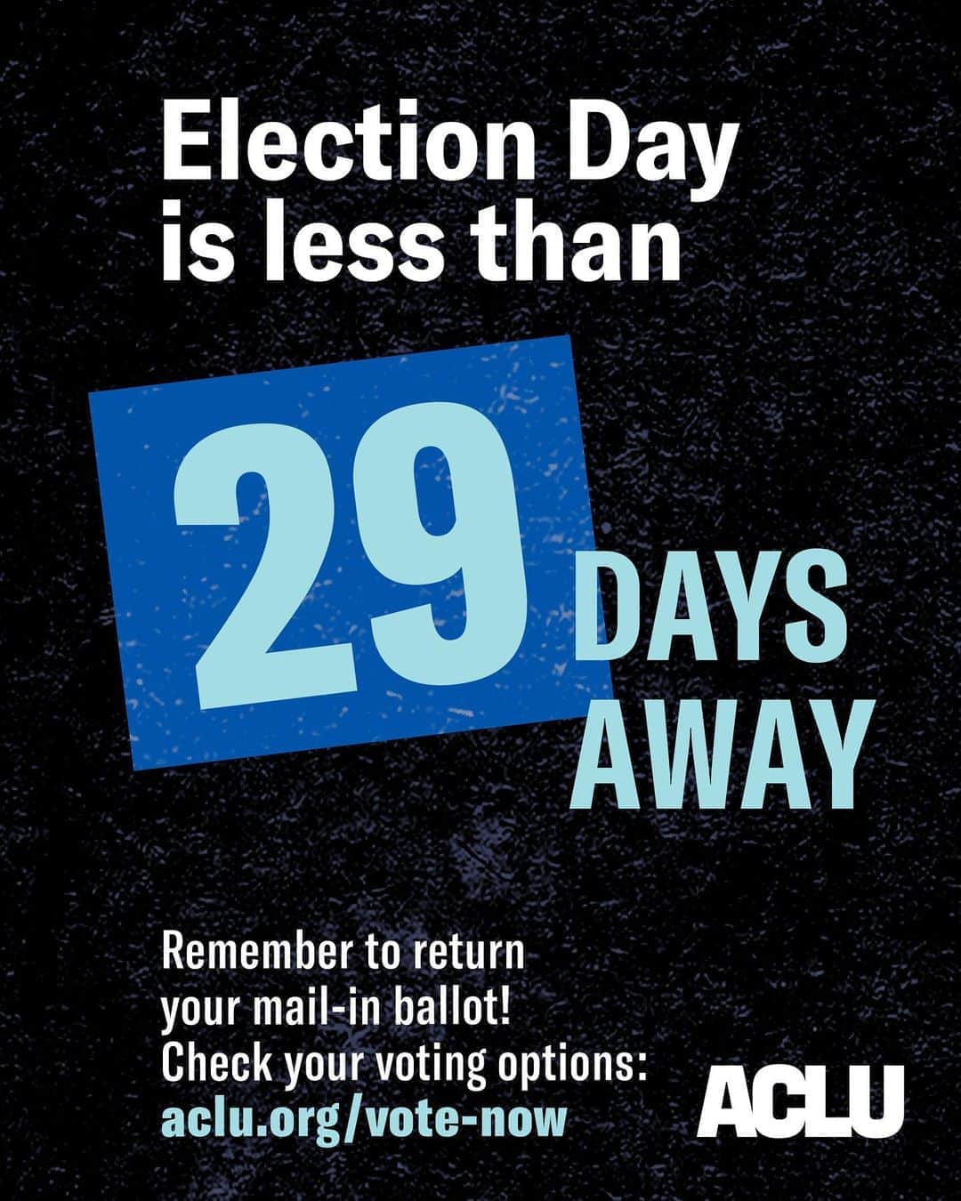 ブレッヒェ・ハイネンのインスタグラム：「28 days. That's less than a month left in this battle for our rights. Make no mistake: NOW is the time to act. Just like @aclu_nationwide, I’m fighting for true racial justice. Together we are strong enough to reimagine our broken and racist system of policing and reinvest in people, schools, and communities. Unfortunately i am unable to vote cause I have a green card. But you can!  Don't wait: make a plan and if your state allows, RETURN your ballot today. Link in bio」
