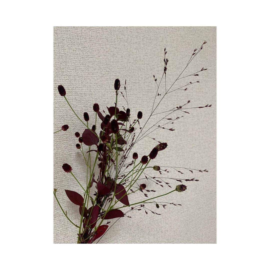高野桃子さんのインスタグラム写真 - (高野桃子Instagram)「秋カラーなワインレッドのお花🍷 季節の移ろいについていくために爪も渋めなカラーにし視覚から自分に秋を言い聞かせて🍁 毎月が師走です…」10月7日 1時56分 - takano_sd