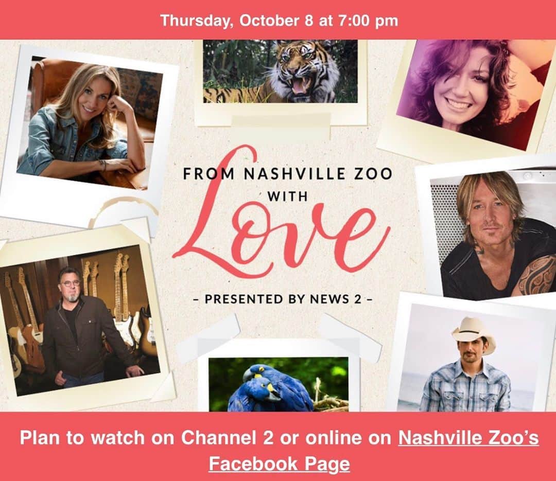 シェリル・クロウさんのインスタグラム写真 - (シェリル・クロウInstagram)「I love @nashvillezoo! ❤️ #Nashville, please show your support by joining me and some of my friends this Thurs, Oct 8th, at 7pm on @wkrntv or Nashville Zoo’s Facebook page!  We’ll have music and special appearances from some of the Zoo’s celebrities. More info at the Nashville Zoo website!」10月7日 2時43分 - sherylcrow