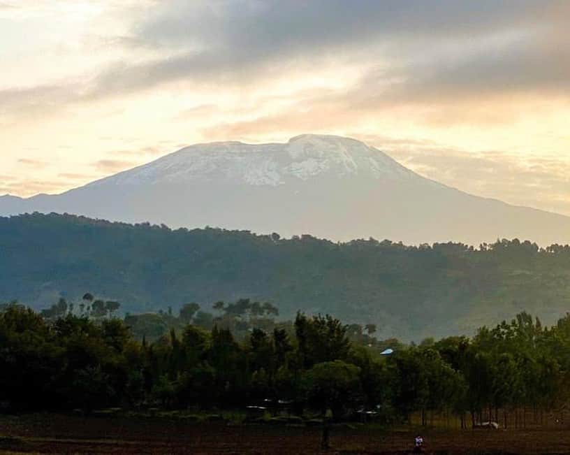 CarolineWozniackiさんのインスタグラム写真 - (CarolineWozniackiInstagram)「We woke up early in the morning, sunrise was hitting Mount Kilimanjaro in a perfect light, and the excitement for our 7 day trip up the highest free standing mountain in the world was at an all time high! We met our whole team at the front of Lemosho gate, weighed in our luggage, (clothes, food, tents, etc) and then it was time to start our trip, with the first two days going thru the rain forrest! Swipe right➡️」10月7日 3時24分 - carowozniacki