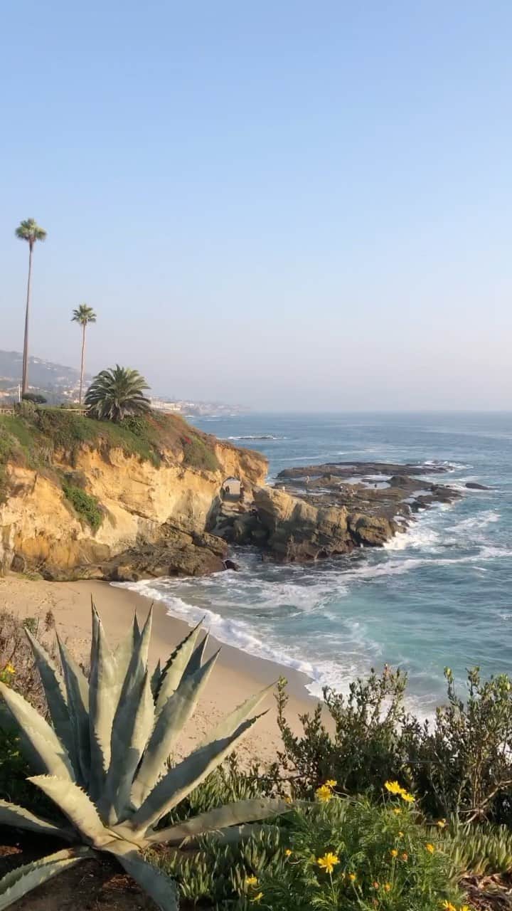 Samuel Lippkeのインスタグラム：「October is the best month for beach days around here 89° with 76° water and puppies are allowed back on the sand. #thelippkes」