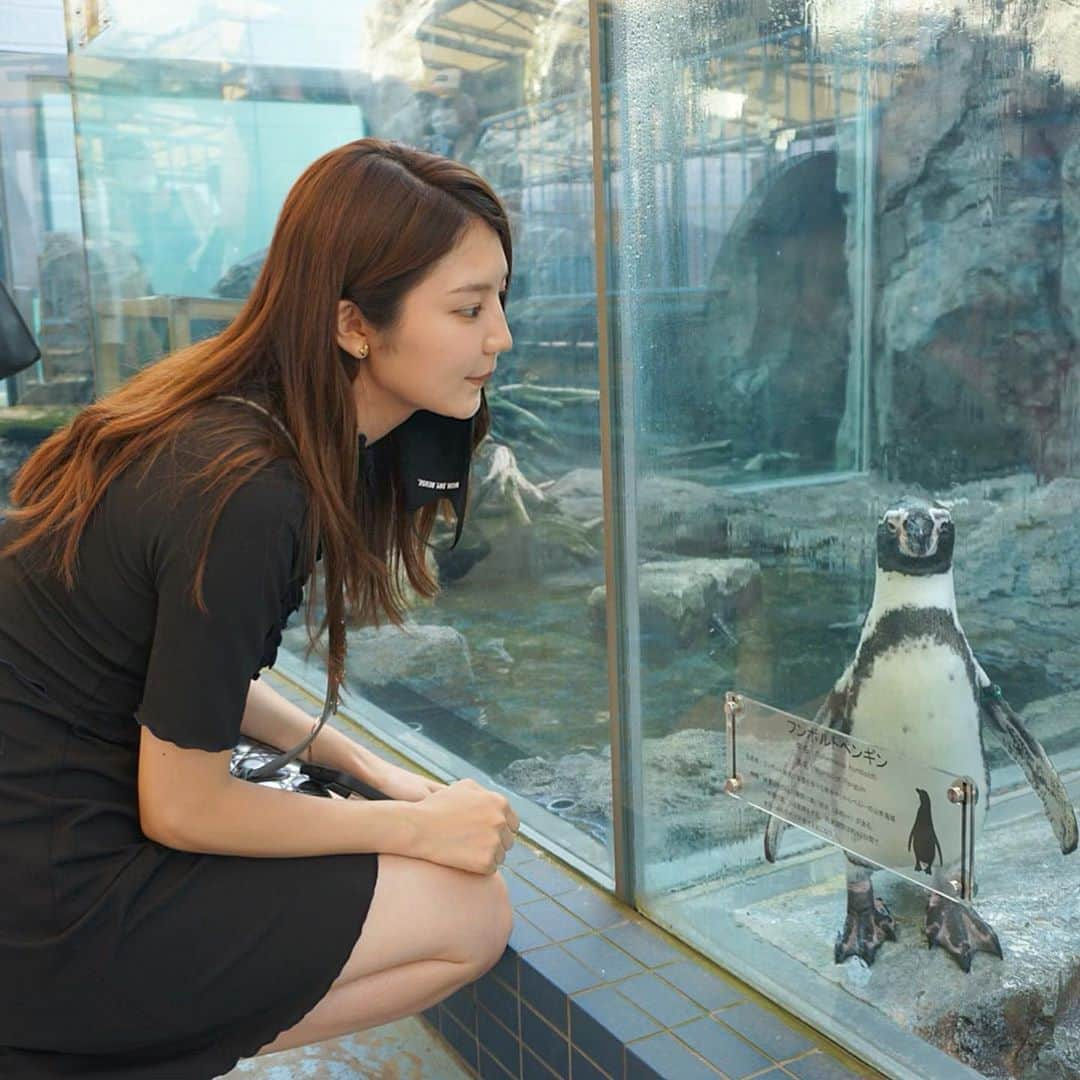 竹内佐織さんのインスタグラム写真 - (竹内佐織Instagram)「どうやら、可愛い生き物を見ると顎がしゃくれるみたい🙃これ以上伸びないようしなければ！！  屋外で人いなかったから少しだけマスク外して写真撮っちゃった😔許してね、ぺんぎんさん。生き物たちはマスクできないもんね😢でも、カメラ目線いただけた。」10月7日 13時35分 - takeuchi_saori_official