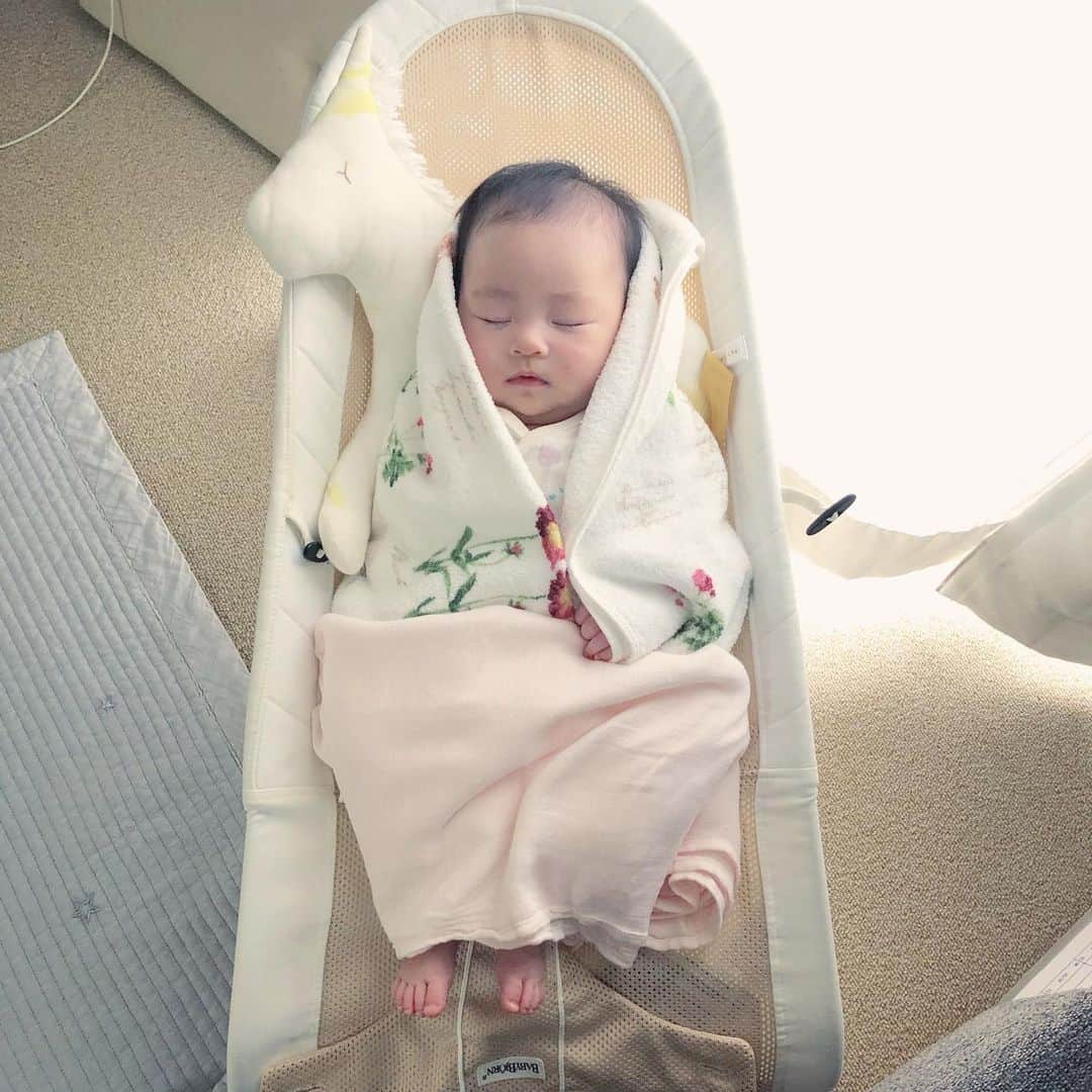 栄田祥子のインスタグラム：「あまりに気持ち良さそうでベッドに連れていけない。めっきり涼しくなりましたね。」
