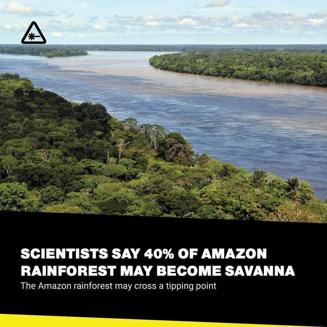 クリス・ハードウィックさんのインスタグラム写真 - (クリス・ハードウィックInstagram)「A large part of the Amazon rainforest could become a savanna by the end of this century. ⁠ link in bio」10月7日 6時01分 - nerdist