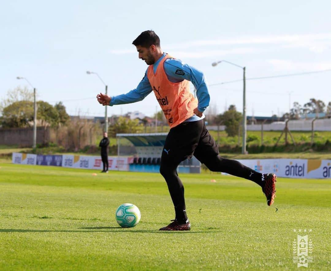 ルイス・アルベルト・スアレスさんのインスタグラム写真 - (ルイス・アルベルト・スアレスInstagram)「Que lindo volver a entrenar con la @aufoficial ⚪️🔵🔝👏#arribalaceleste #eliminatorias2022」10月7日 6時25分 - luissuarez9