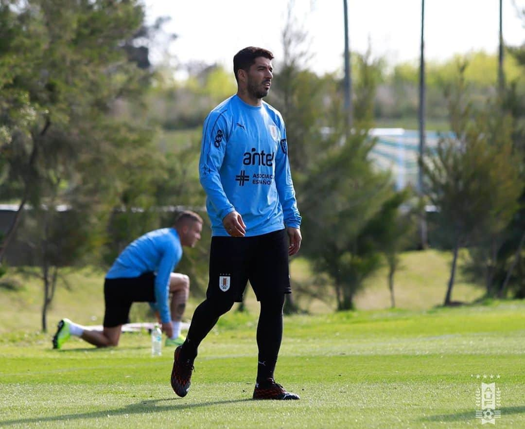 ルイス・アルベルト・スアレスさんのインスタグラム写真 - (ルイス・アルベルト・スアレスInstagram)「Que lindo volver a entrenar con la @aufoficial ⚪️🔵🔝👏#arribalaceleste #eliminatorias2022」10月7日 6時25分 - luissuarez9