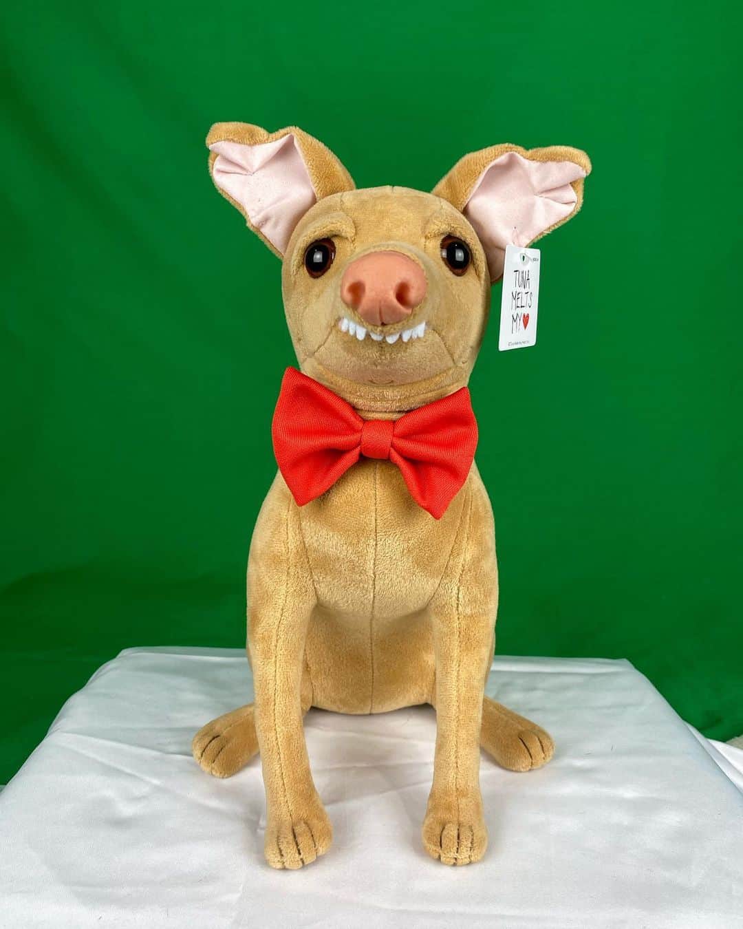 Tuna {breed:chiweenie} さんのインスタグラム写真 - (Tuna {breed:chiweenie} Instagram)「We’re shooting the 2021 calendar this week, and his plush is his stand-in for lighting tests/so Tuna can take a thousand breaks. 🤣 This calendar is honestly my favourite one to date! I hope you LOVE it! It AND his plush will be up for pre-sale in a couple weeks. I’ll announce it on IG and FB, so Make sure to turn on Tuna’s notifications so you don’t miss it, OR be the first to hear about the pre-sale by going to the link in the bio to sign up for the email list. If you’ve already done that, no need to do it again. Swipe over to see Toon’s get curious about his twin.」10月7日 6時32分 - tunameltsmyheart