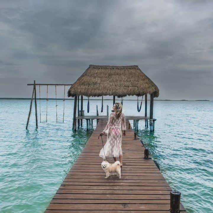 のインスタグラム：「Category 5 Hurricane Delta decided to head straight for us in Playa del Carmen, so this morning I ran to the car rental place, booked a pet friendly hotel, packed up our stuff, and we drove 3 hours southwest to Bacalar. . Can't say I'm surprised that we have a catastrophic storm coming at us right after moving here, since ya know, 5 days after I got to Spain we got put into lockdown. And in general, 2020 is a complete catastrophe itself. But hey, I don't call my brand "My Life's a Travel Movie" for nothing! . I made the decision to voluntarily evacuate mostly because of my pup Oscar, and also because we don't know how long we will be without power, and we aren't prepared for that. . I'm not worried about us, but I am worried and feel incredibly bad for the locals, especially all the businesses that are about to be pummeled.  . The hurricane is supposed to make landfall around 2am, so please send your positive energy and well wishes to the people who need it most from Cancun to Tulum. . Last, I just want to point out that this year has a record high amount of hurricanes and major storms to make landfall. If you look at radar or the news you'll hear that Hurricane Delta is picking up strength because of WARM waters. Do you know what's causing the increasing temperatures of ocean waters? GLOBAL WARMING AND CLIMATE CHANGE. . If you don't think those are real things, and you don't do anything at all to help stop it (including voting for ppl who want to help offset it, not who call it fake news), we will not have a beautiful planet to travel and live on much longer. Please vote, please offset your carbon footprint, please eat less meat, please raise awareness! . Will be updating the situation here on Stories, as well as trying to figure out a legitimate organization to do a fundraiser for the local people starting tomorrow. . Stay safe everyone, count your blessings and check your privilege!! . . #hurricanedelta #cancun #PlayadelCarmen #tulum #mexico #globalcitizen #globalwarming #vote #climatechange #2020sucks #mylifesatravelmovie」