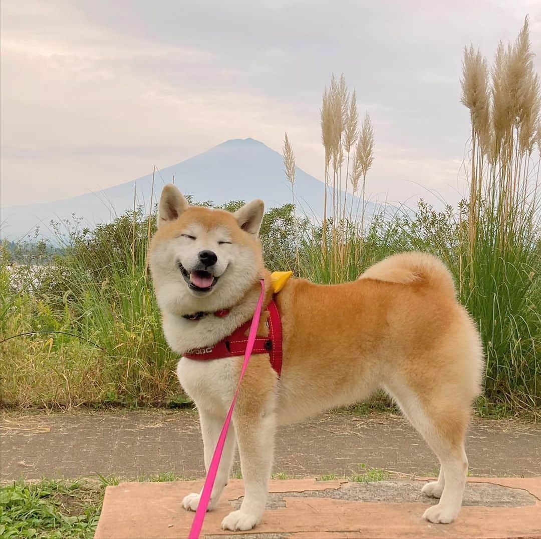 てんパパのインスタグラム