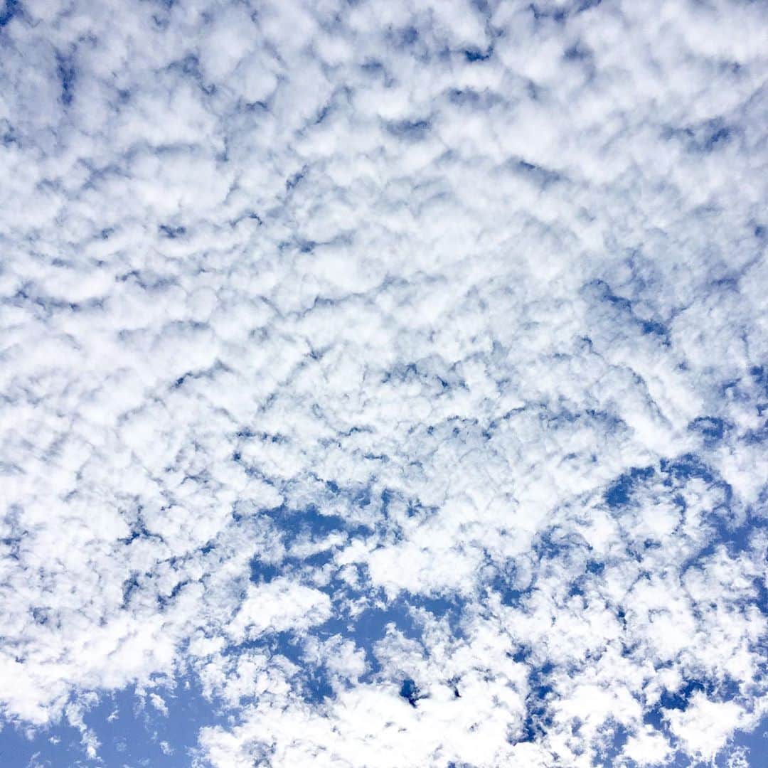 平野由実さんのインスタグラム写真 - (平野由実Instagram)「すっかり長袖の季節🍃 自分が見えている映像をそのまま写真に出来たらいいのにな。 見上げると気持ちいい青空曇り空。  #曇り空 #雲 #曇り#空 #青空  #白い雲 #秋空 #sky」10月7日 8時34分 - yumi_hiranoo