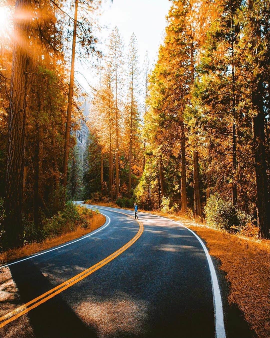 FOLKのインスタグラム：「Very calming and we love to see it. Today’s favorites are: 1.) @jguzmannn 2.) @jonahmoose 3.) @nicholasampson 4.) @goreenor 5.) @snickersv 6.) @_marcelsiebert」