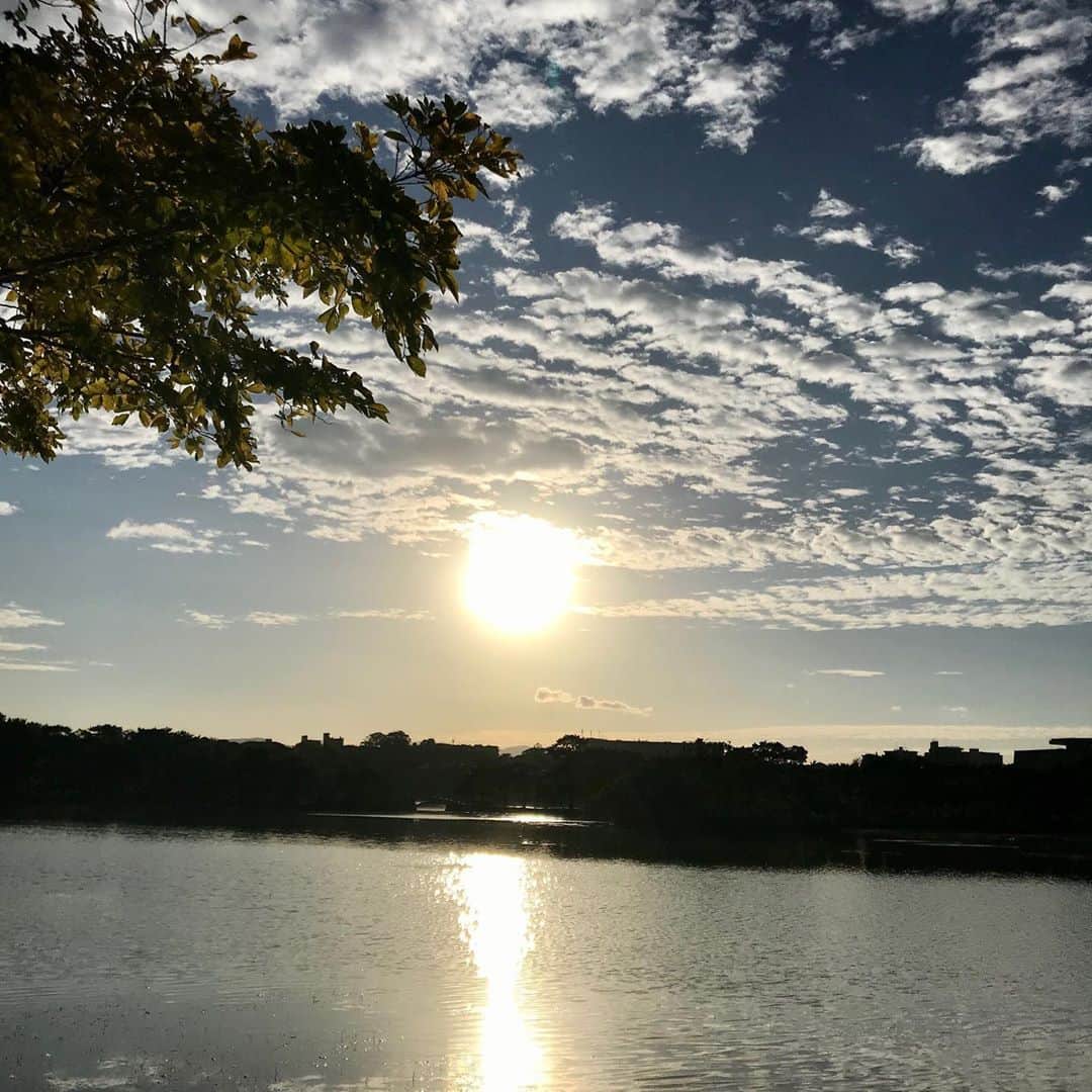 三好ジェームスさんのインスタグラム写真 - (三好ジェームスInstagram)「日課の大濠公園ジョギング！  昨日に続いて爽やか過ぎる先輩に遭遇！  江尻さん^_^  #江尻慎太郎 さん#ホークス#AcroBats #ウォーキング#ジョギング#大濠公園」10月7日 8時46分 - james.arita2946