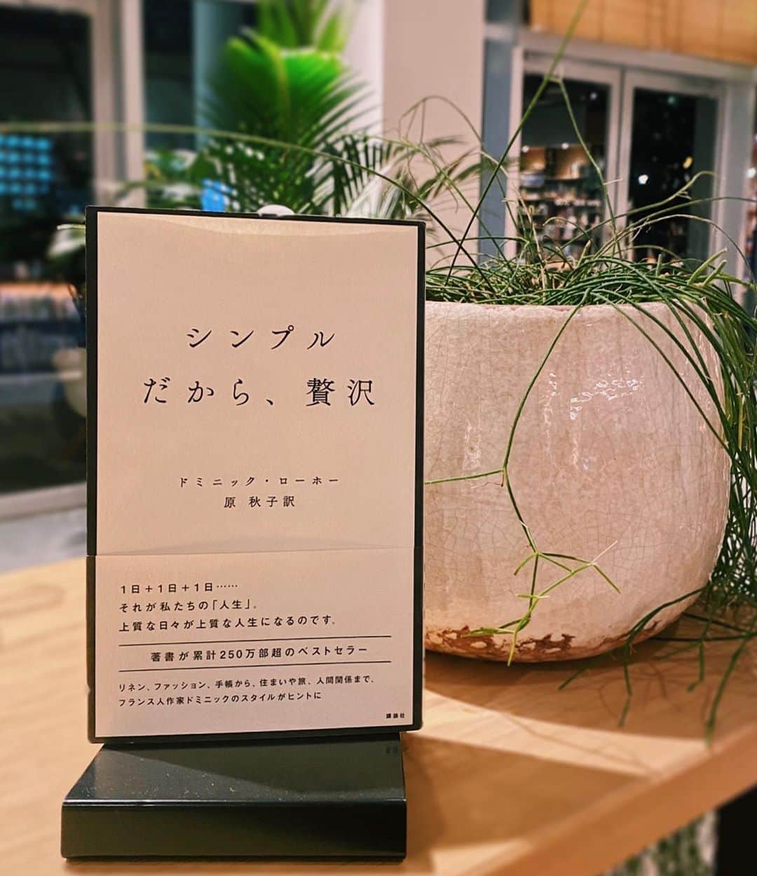 柏の葉 T-SITEのグルメインスタ