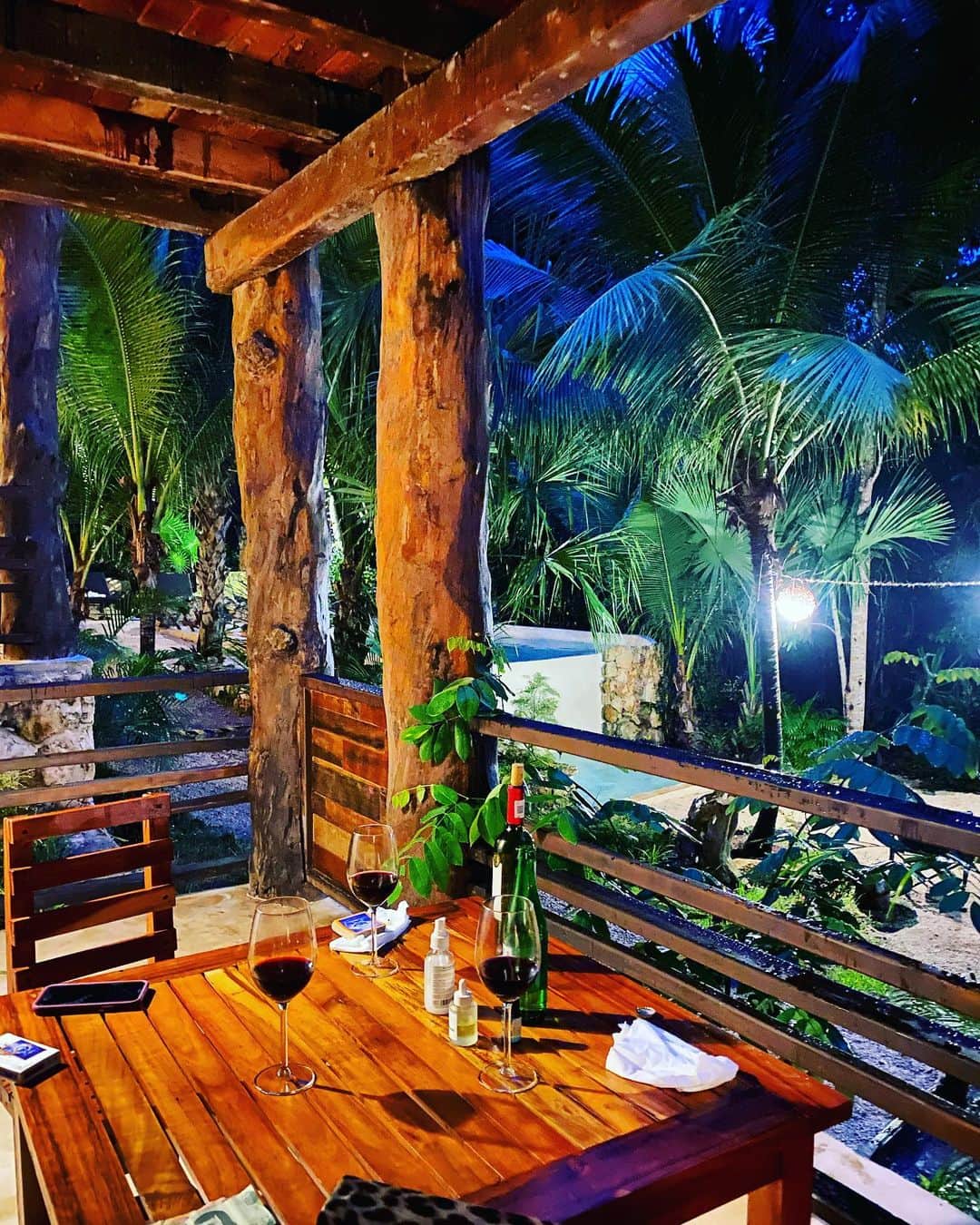 のインスタグラム：「The great escape south and it is great. Wine moms have landed. @buenavistabacalar」
