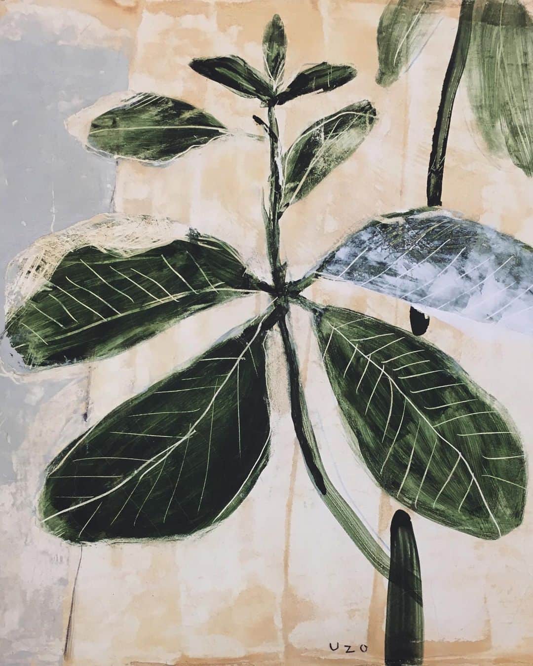 のインスタグラム：「pastwork #fukuoka #Contemporaryart #painting #drawing」