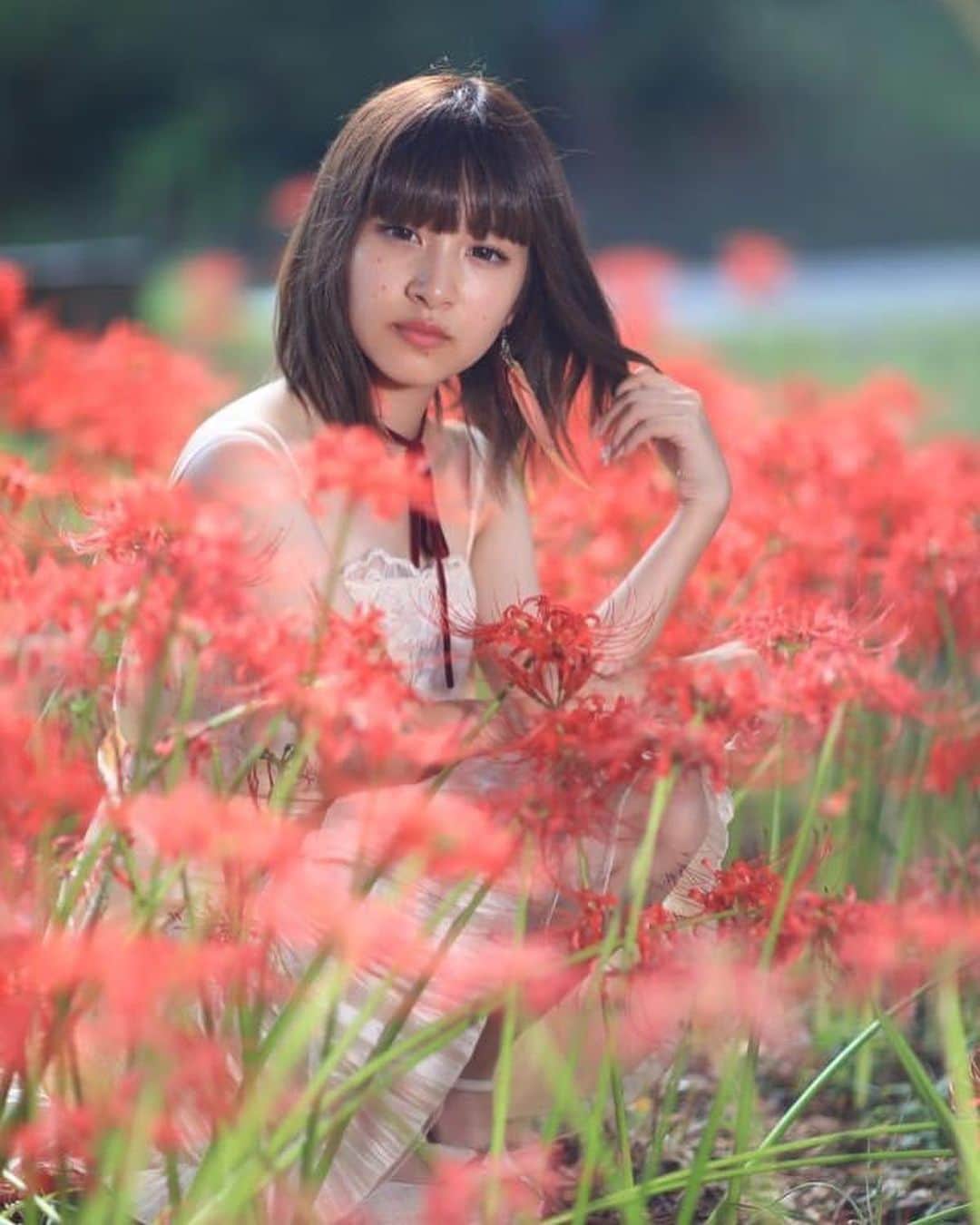 舘林佳史のインスタグラム：「彼岸花と少女👗✨  ﻿  誰でも物語の主人公になれるをキャッチコピーに﻿ドラマや映画の物語のワンシーンの様なDramaticStoryPhotと言う名前で活動作品作りをしています。﻿ ﻿ 大好評のドラマティックフォトのご依頼はこのクオリティーで30000円〜(ほぼ諸経費)で受け賜わっています)^o^( ﻿ ﻿ 素敵な作品を一緒に作りたい！コラボレーションしたい 美容師・メイクアップアーティストさん ・服飾デザイナーさんクリエイターさんも随時募集中です✨﻿ ﻿ お姫様になりたい👸物語の主人公になってみませんか^ ^⁉︎.﻿ ﻿ ﻿ たった一枚の写真で人生が変わる‼️﻿ ﻿ ﻿ ✨作品作り体験モデルに興味がある方 ドラマティックフォト依頼 撮影依頼 体験モデル募集﻿ ﻿ ①お名前②地域③年齢④身長⑤LINE ID⑥応募理由やお問い合わせ内容⑦最近の髪型スタイルの分かる写真をDMまたはメール下さい✨﻿ ﻿ 📩contact@dramaticphoto.jp﻿ ﻿ モデル宣材撮影 コンポジ Book作り プロフィール撮影 ブライダルフォト記念撮影 衣装レンタル 成人式 着物 ドレスロケーションフォト スチール サロンモデル撮影 写真集等撮影のご依頼何でもお気軽にお問い合わせDM下さい✨📩 .﻿ ༚┈❁┈༚༝༝༚┈❁┈༚༝༝༚┈❁┈༚༝༝༚┈❁┈ ༚༝༝༚┈❁┈﻿ ． 【掲載モデル個撮紹介】﻿ ﻿ 掲載モデルを撮ってみたいと思った事はありませんか^ ^⁉️﻿ .﻿ 掲載モデルさんをご紹介出来るようになりました❣️﻿ .﻿ ✅ポートレート撮影をやってみたいけどモデルモデルが見つからない。﻿ ✅モデルと一対一でポートレート撮影したい。﻿ ✅撮影会だと撮りたい構図の写真が撮れない。﻿ ✅モデル2人でツイン撮影したい。﻿ ✅友達のカメラマンと一緒にモデルを撮りたい。﻿ ✅モデルとメイクさんを呼んで作品作りをしたい。﻿ ✅スタジオで個撮したい。﻿ ✅海や山で撮影したい。﻿ ✅水着撮影したい。﻿ ✅仕事帰りに撮影したい。﻿ ✅夜景やネオンで撮りたい。﻿ ✅フォトコンにチャレンジしたい。﻿ ✅美容院スタイリストの作品作りコンテストモデル探しや撮影をしたい。カメラマンも探している。﻿ ✅プロのフォトグラファーを 目指している。﻿ ✅プロのカメラマンと同行してもらって勉強したい。﻿ ✅自分の都合の良い日や時間に合わせて撮影がしたい。﻿ .﻿ ༚┈❁┈༚༝༝༚┈❁┈༚༝༝༚┈❁┈༚༝༝༚┈❁┈ ༚༝༝༚┈❁┈﻿ ． 【掲載モデルの個人撮影依頼】﻿ .﻿ お問い合わせは以下の内容を記入しDM 📩﻿ 又はLINE下さい ID510661(舘林佳史)﻿ .﻿ お取り次ぎ致します❣️﻿ .﻿ 件名《個撮モデルお問い合わせ》﻿ ⚫︎氏名:﻿ ⚫︎年齢:﻿ ⚫︎連絡先:﻿ ⚫︎メールアドレス:﻿ ⚫︎カメラ歴: 年﻿ ⚫︎希望モデル名:﻿ ⚫︎希望日:﻿ ⚫︎希望時間:﻿ ⚫︎希望集合場所:  駅や施設名﻿ ⚫︎希望撮影地: 湘南  鎌倉 横浜 ○○公園 等﻿ ⚫︎移動手段: 徒歩  車﻿ ⚫︎希望衣装: ドレス・ロングスカート・ミニスカート・ワンピース・普段着・カジュアル・ショーパン・お任せ・着物・その他﻿ ⚫︎衣装(モデルさんに持って来て欲しい・自分で用意したい)﻿ .﻿ .﻿ ༚┈❁┈༚༝༝༚┈❁┈༚༝༝༚┈❁┈༚༝༝༚┈❁┈ ༚༝༝༚┈❁┈﻿ ． ◆撮影料金﻿ .﻿ 基本撮影時間:3時間(休憩時間移動込み)﻿ 15000円﻿ ⚫︎延長:1時間ごとに5000円﻿ ﻿ .﻿ ༚┈❁┈༚༝༝༚┈❁┈༚༝༝༚┈❁┈༚༝༝༚┈❁┈ ༚༝༝༚┈❁┈ . ．﻿ #彼岸花#曼珠沙華#少女#フリーモデル#ドラマティックストーリーフォト#インスタ映え#作品作り #撮影依頼#講習会#シューティング#撮影依頼募集中 #ファインダー越しの私の世界 #写真を撮るのが好きな人と繋がりたい  #ストロビスト#ポートレート#ポートレートモデル#モデル募集#被写体#カメラマン#フォトグラファー#excellent_portraits #photographer#ig_bless_women#東京カメラ」
