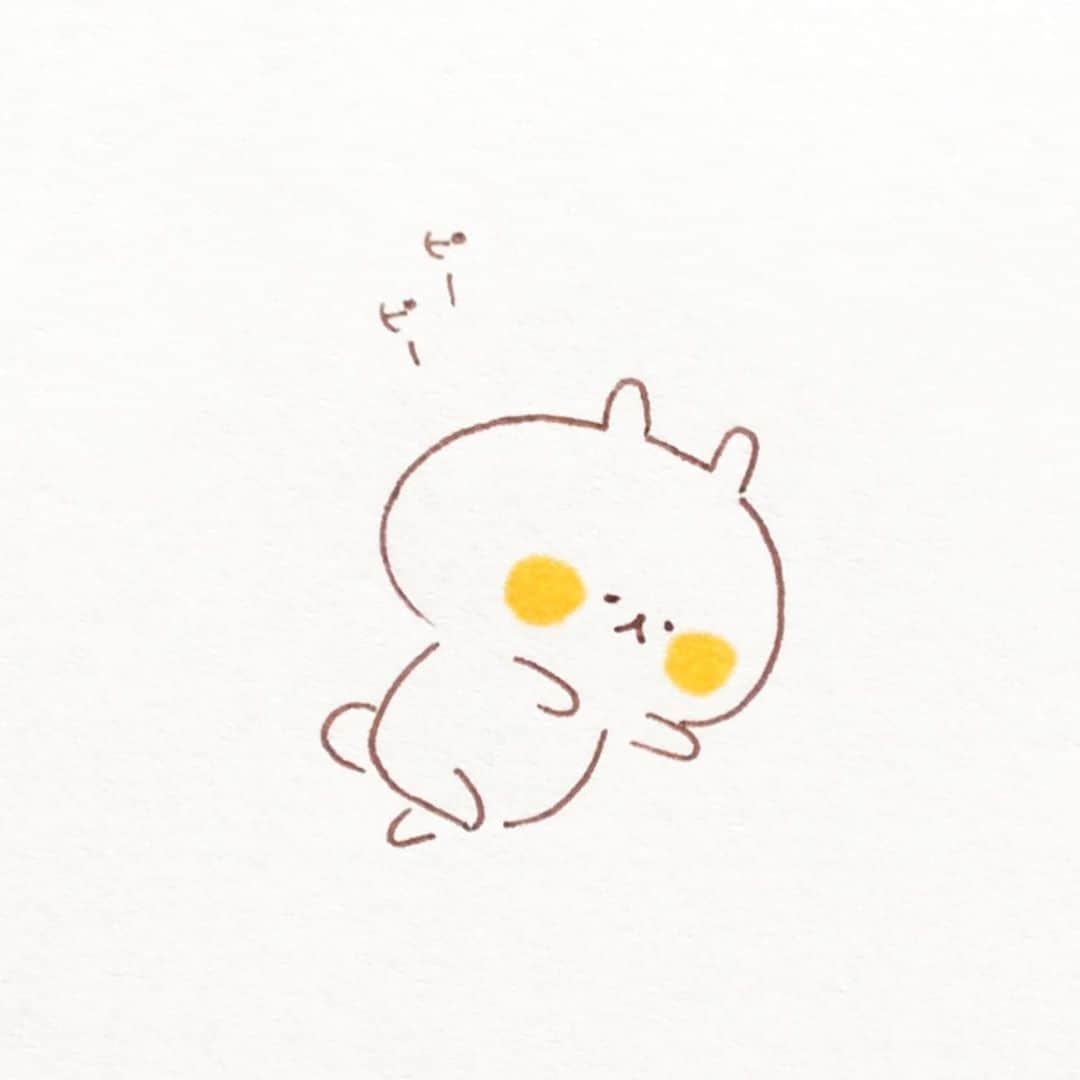 カモのインスタグラム