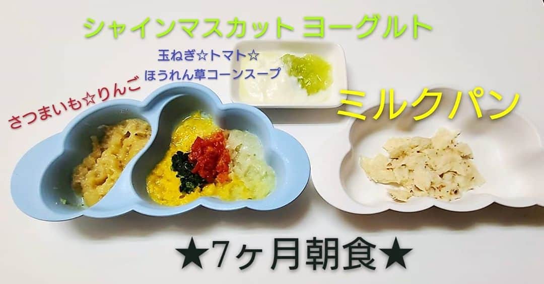 阪本麻美のインスタグラム：「朝食〜いただきまーす!!  ほんとっよく食べる❣  今日も１日沢山笑って過ごそう〜(｡♡‿♡｡)  #男の子赤ちゃん #男の子ベビー  #男の子ママ  #離乳食  #離乳食メニュー #離乳食中期 　 #もぐもぐ期  #あかちゃんのいる生活  #7ヶ月ベビー  #7ヶ月男の子  #朝食  #いただきます  #ごちそうさまでした」