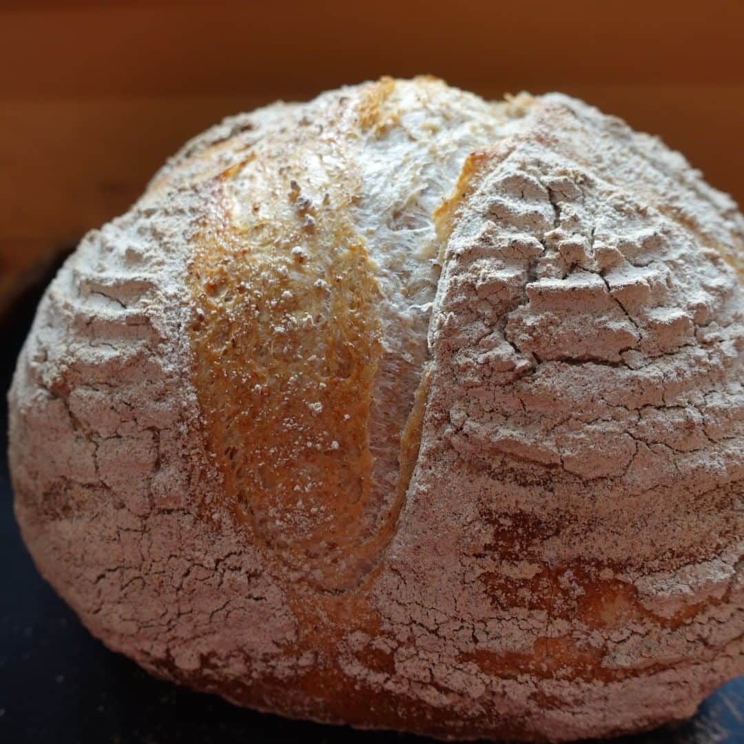 魔女菅原のグルメインスタ