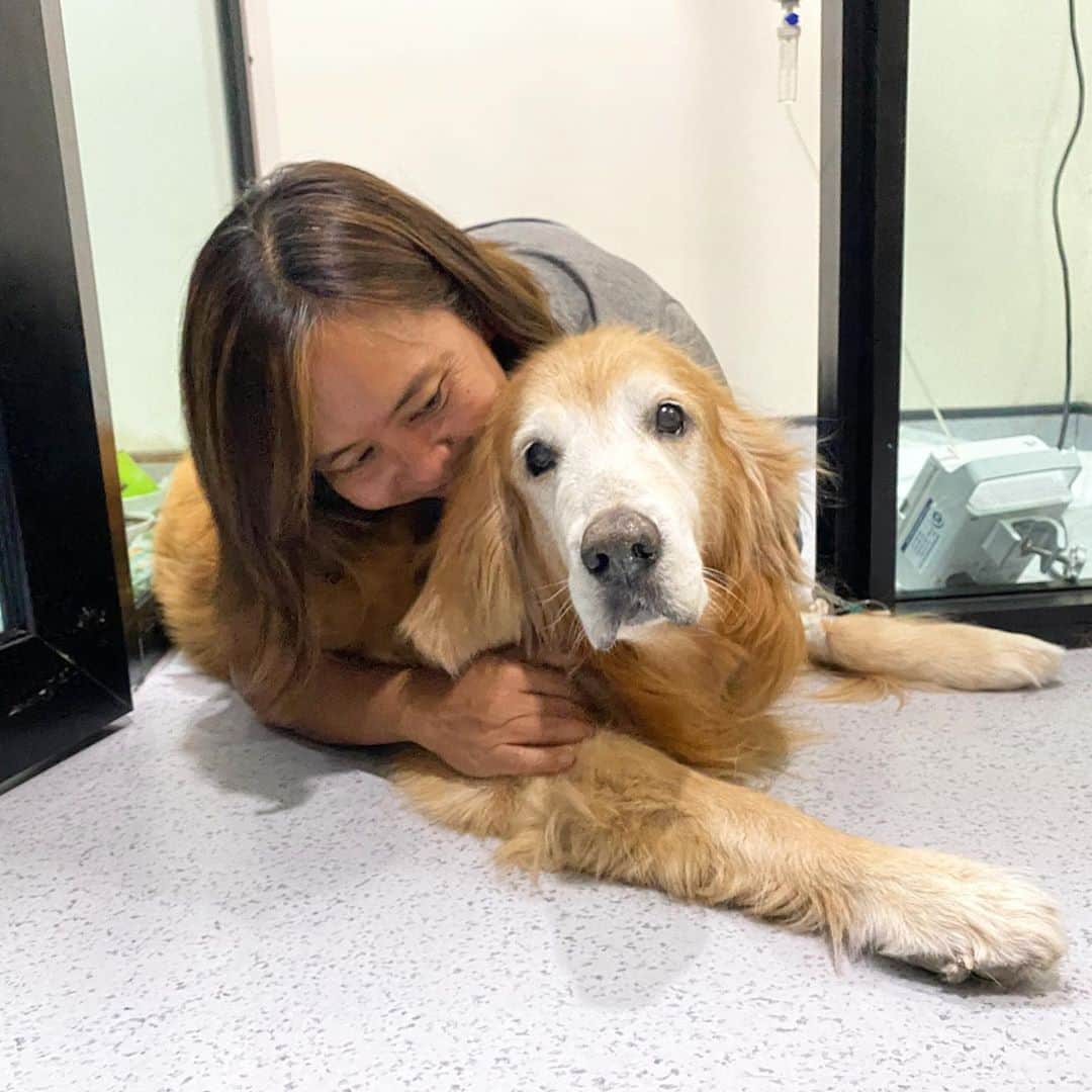 Hoykong&Plamuekのインスタグラム：「I will be better soon.  หอยโข่งอยากหายไวไวแล้วค้าบ」